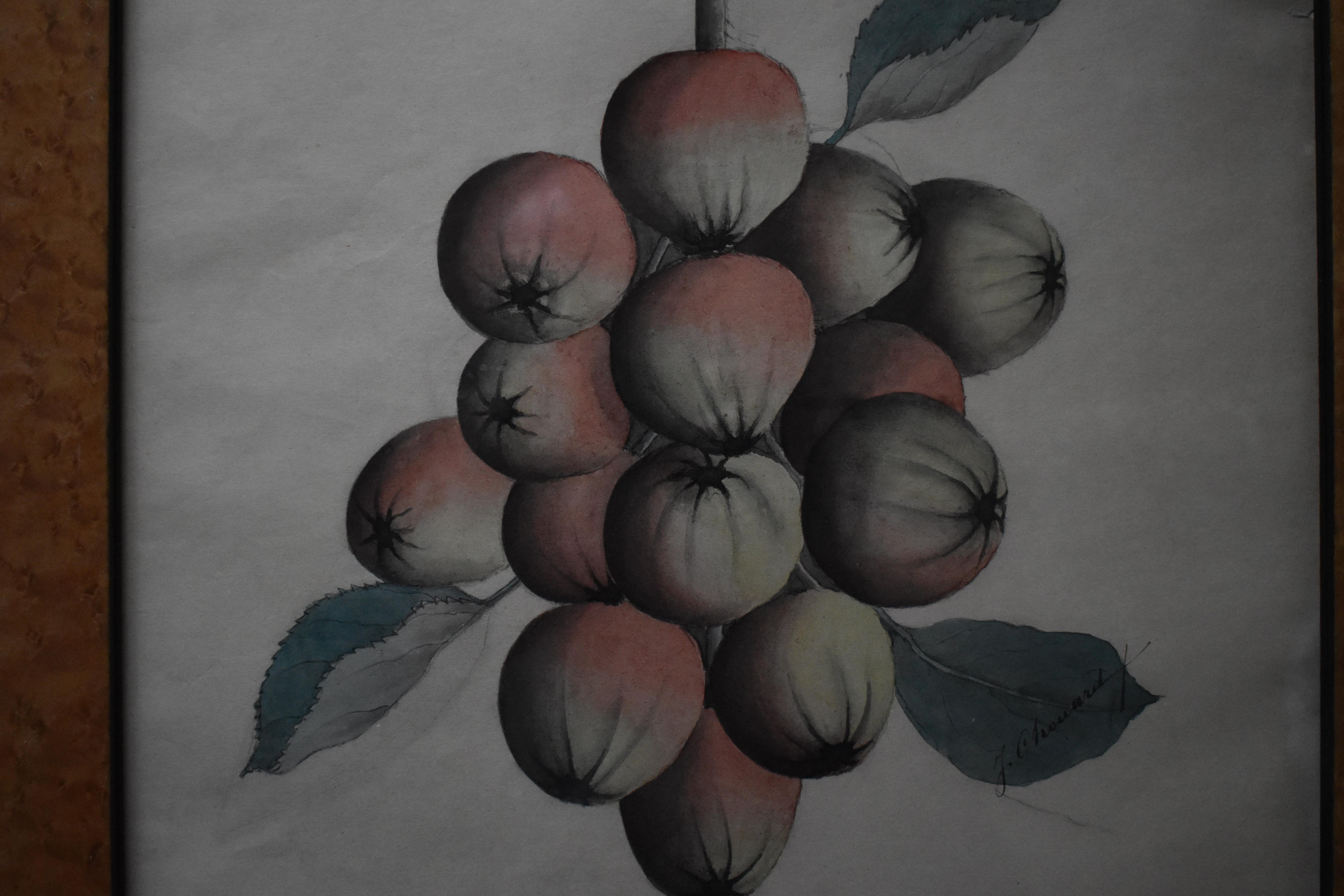 French School Swags of Apples a Pair of Watercolour Paintings c1890 For Sale 1