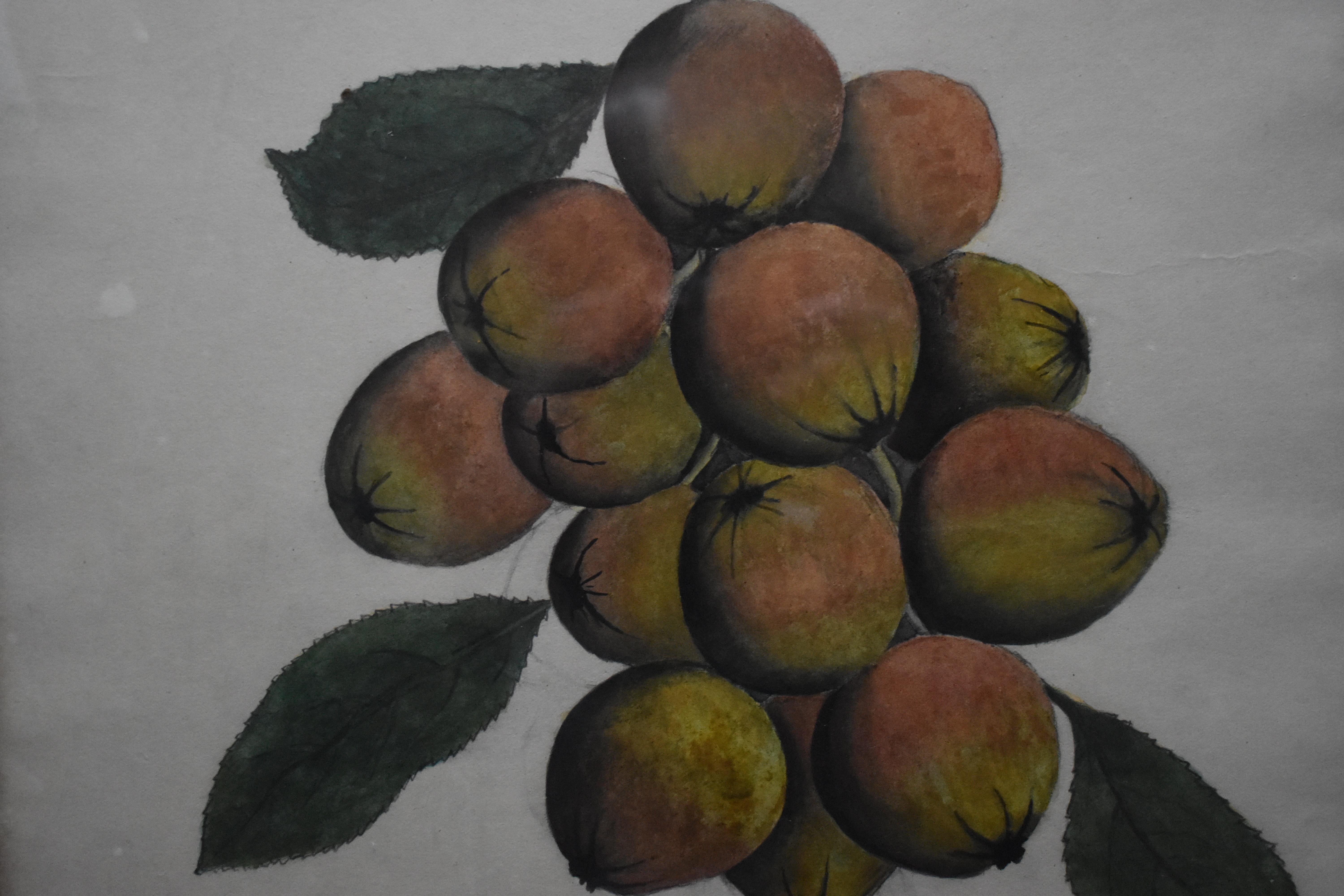 French School Swags of Apples a Pair of Watercolour Paintings c1890 - Brown Still-Life by Martin Jules CHOUARD 