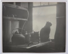 Cats and Kettles