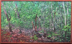 Wolf Pond Hollow III