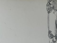 Untitled, (Aerial Circus Series)