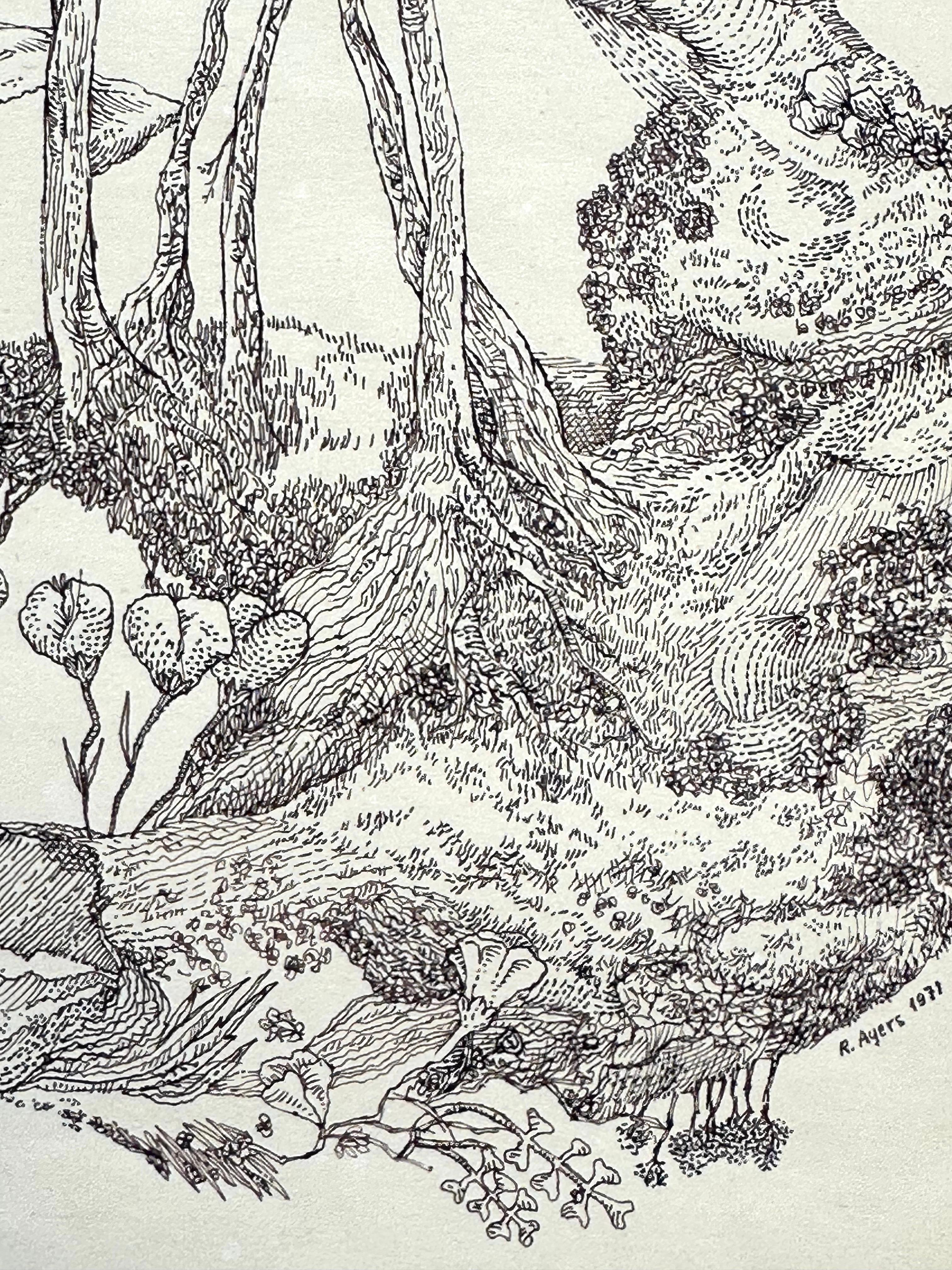 Roland Ayers (1932-2014). 

Frühling, 1972.

Tinte auf Papier, 9,75 × 13,5 Zoll.

Unterzeichnet und datiert. 
Der Künstler und Kunstpädagoge Roland Ayers wurde am 2. Juli 1932 als einziges Kind von Alice und Lorenzo Ayers geboren und wuchs im