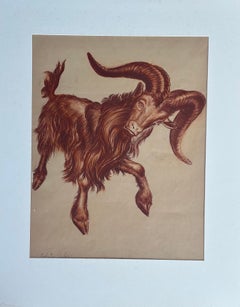Bélier (Taurus)