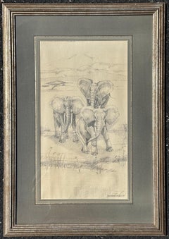 Elephants