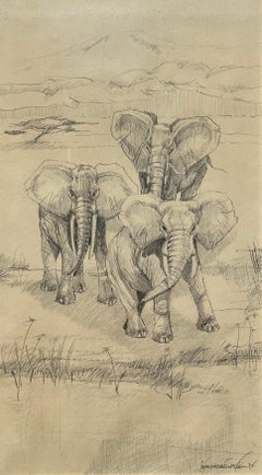 Elephants