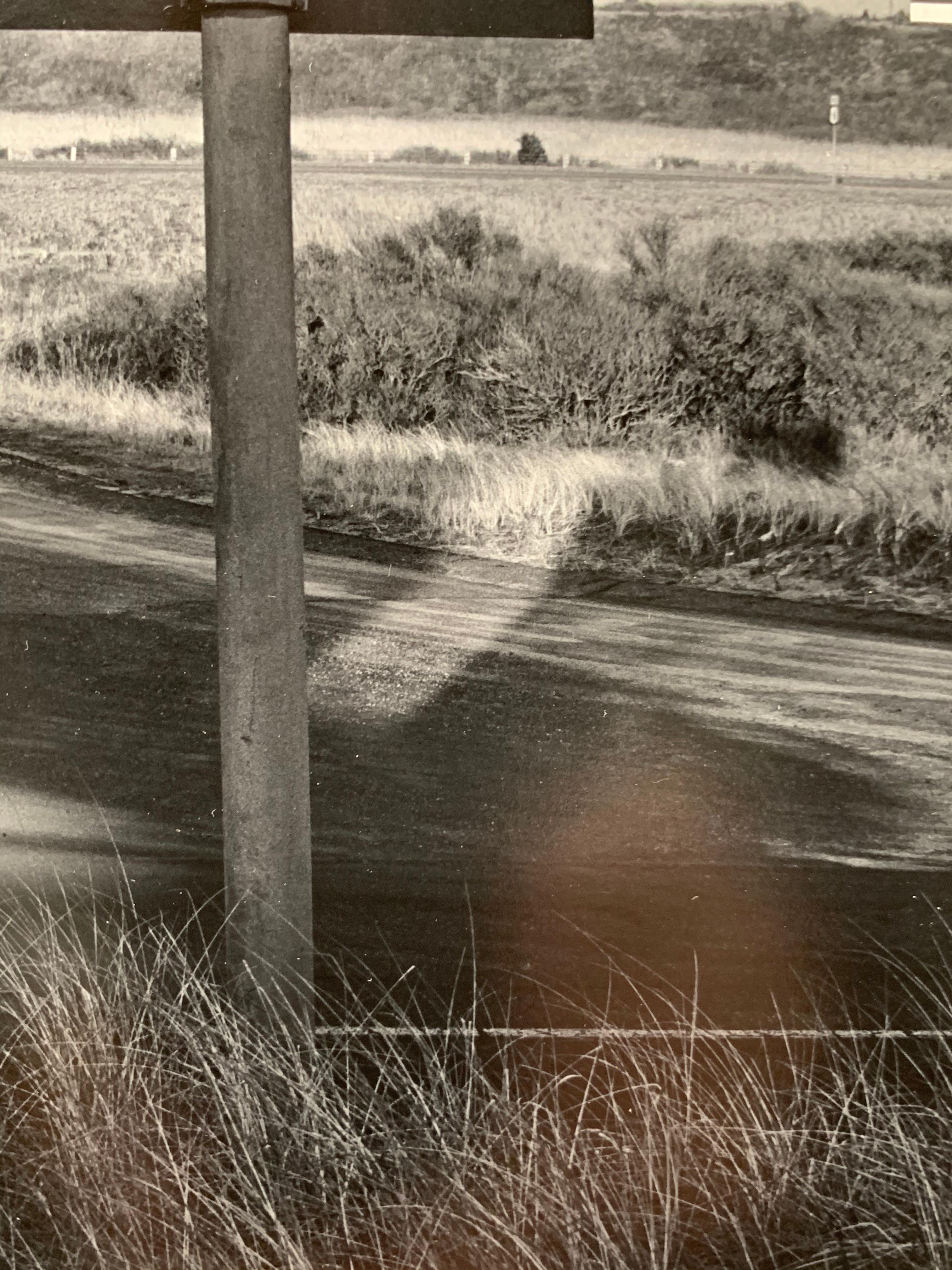 Antony Zega  (1962-2019). Pin penché (Cape Cod), vers 1985. Tirage photographique, 10 x 10 pouces. Monté sur du carton sans acide mesurant 16 x 20 pouces. Non signée. Timbre de succession au verso. 
