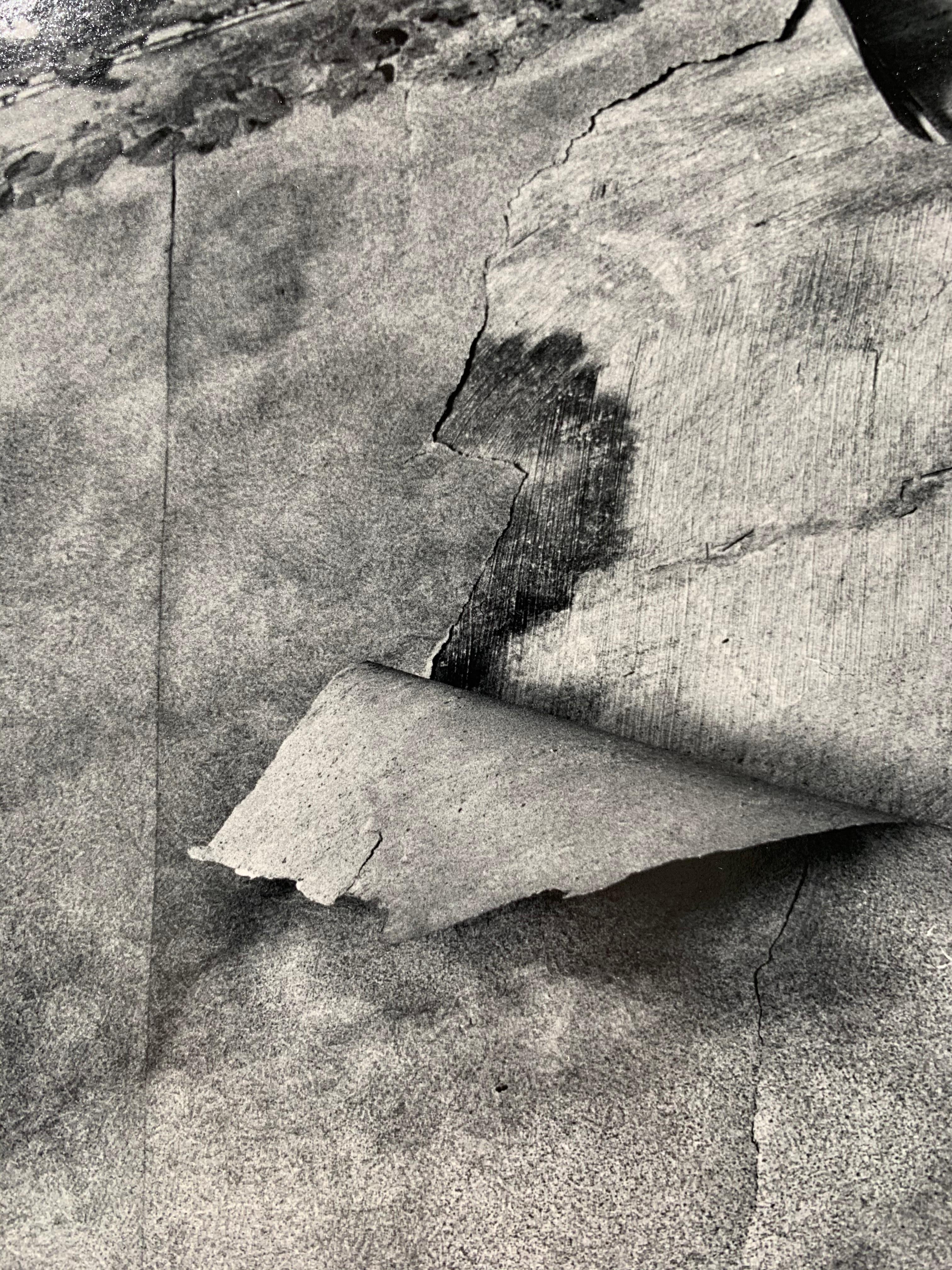 Ceiling - Gray Black and White Photograph by Anthony Zega