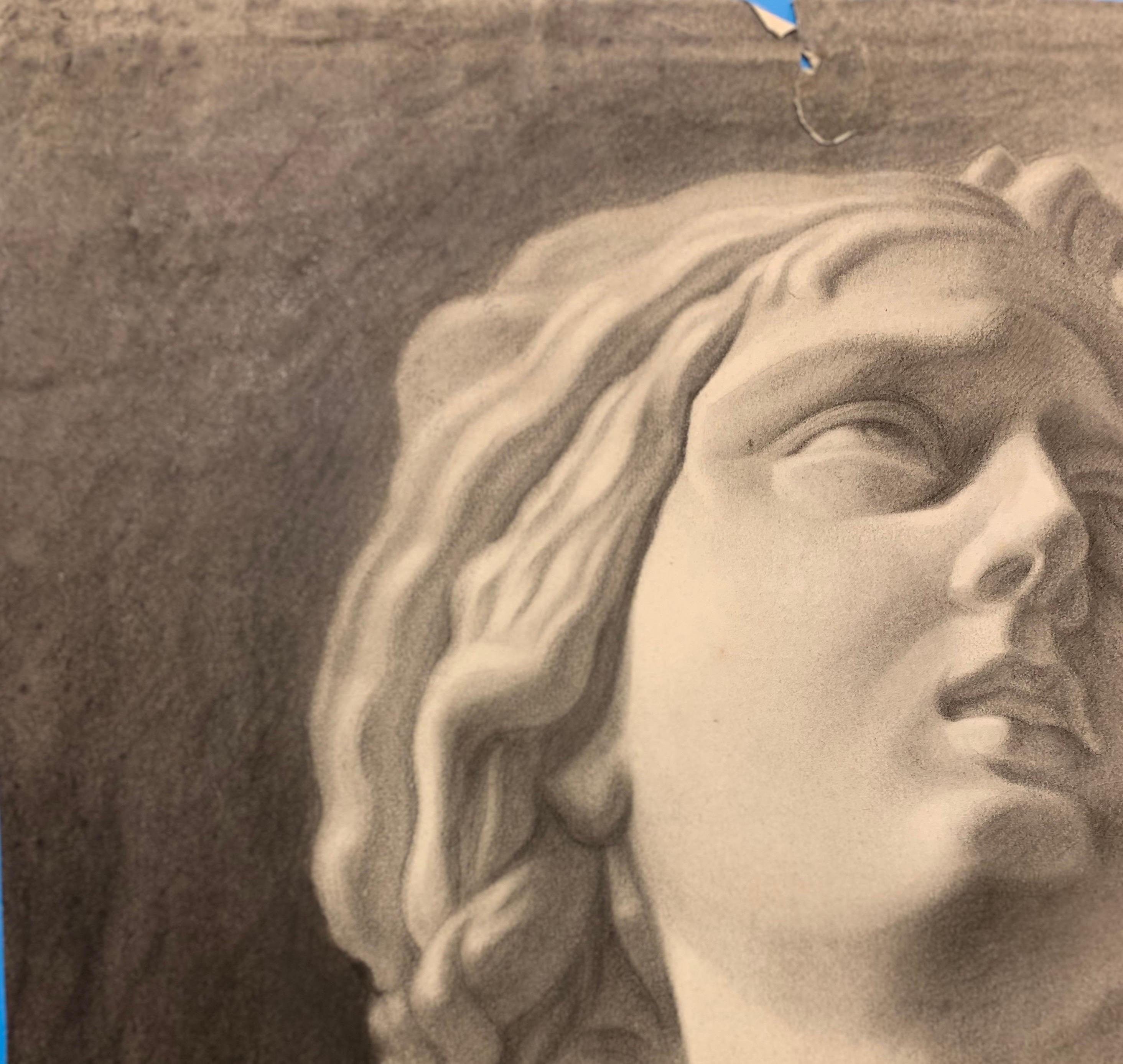 This 19th century Italian drawing of classical bust sculpture in plaster showcases expert chiaroscuro modeling in black and brown charcoal on paper.

Technique: black and brown charcoal on thick matte rough paper. 

Dimensions: 60.5cm x 44.5cm

This