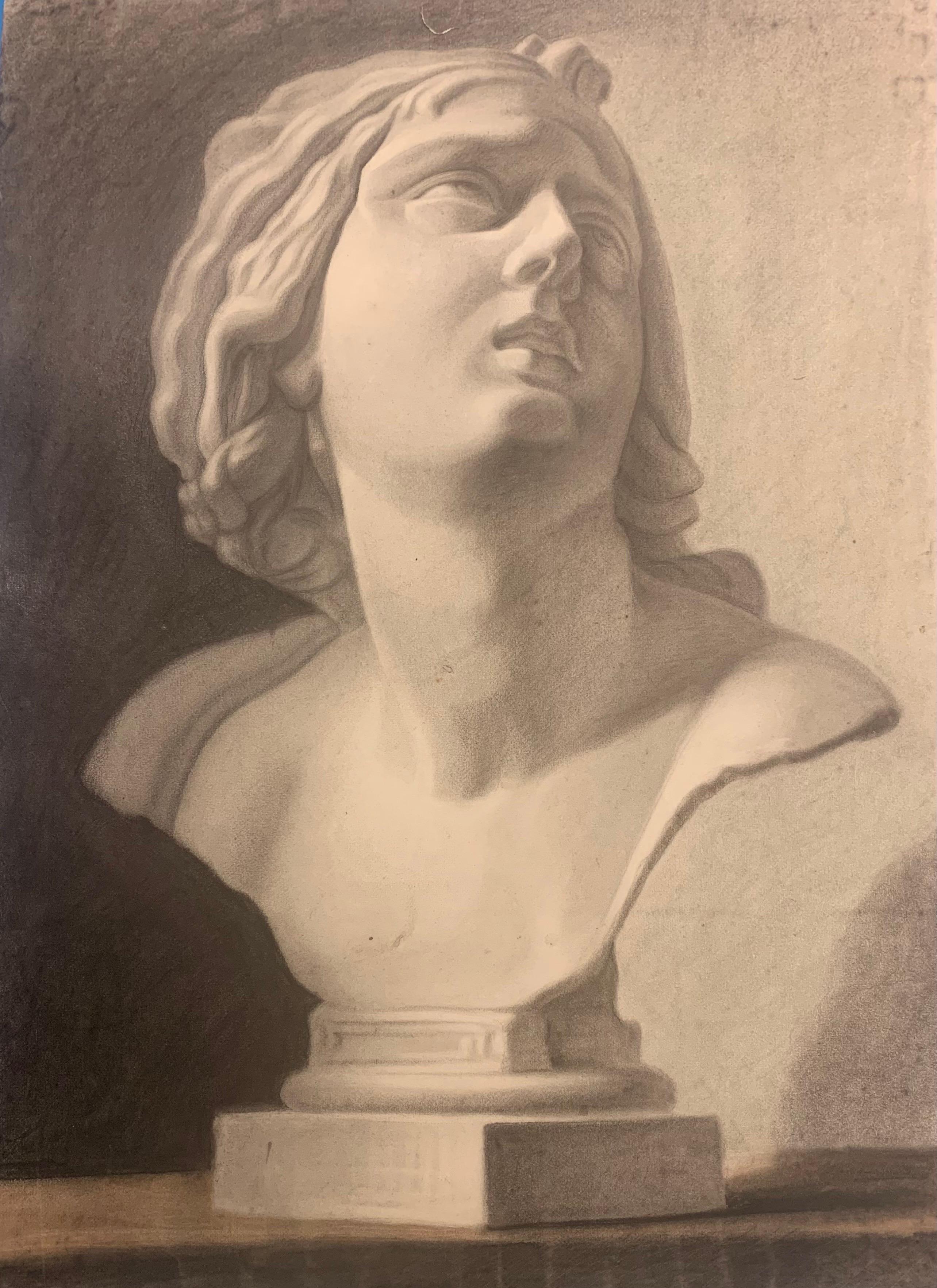 Academic drawing of classical bust sculpture. 19th century