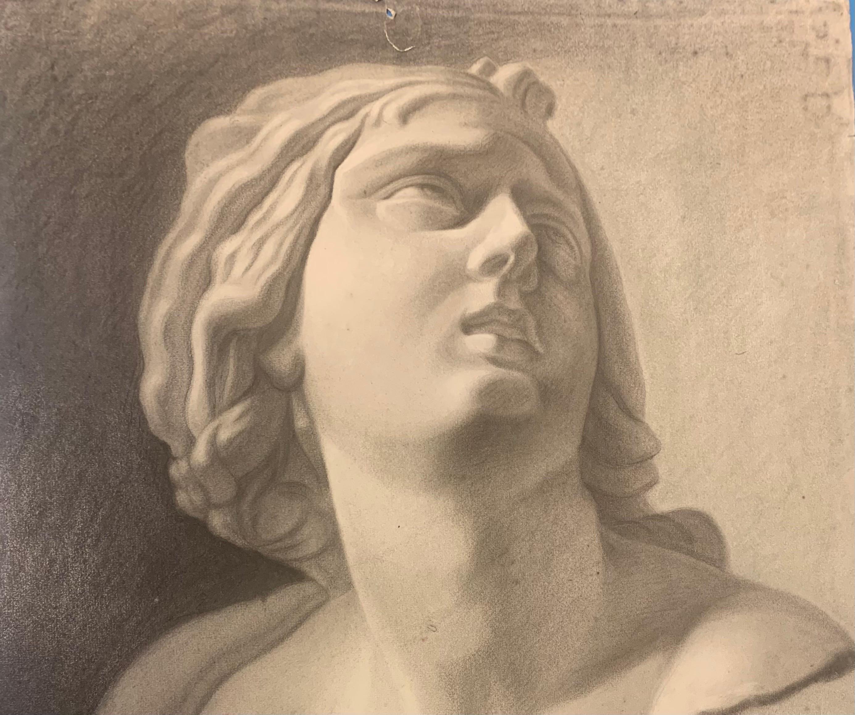 Academic drawing of classical bust sculpture. 19th century For Sale 3