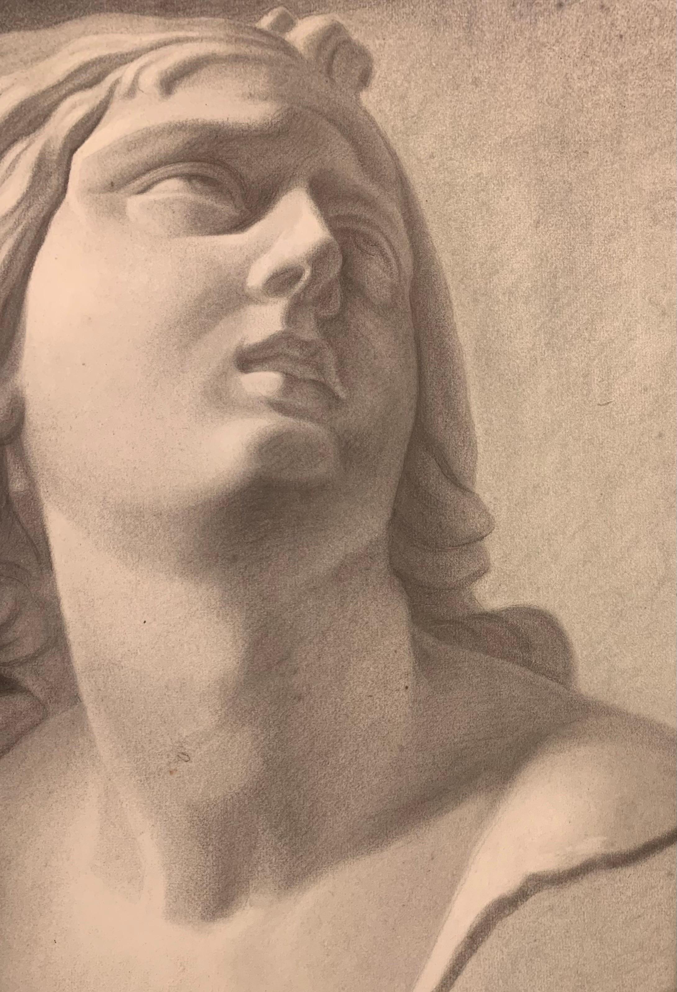 Academic drawing of classical bust sculpture. 19th century For Sale 4