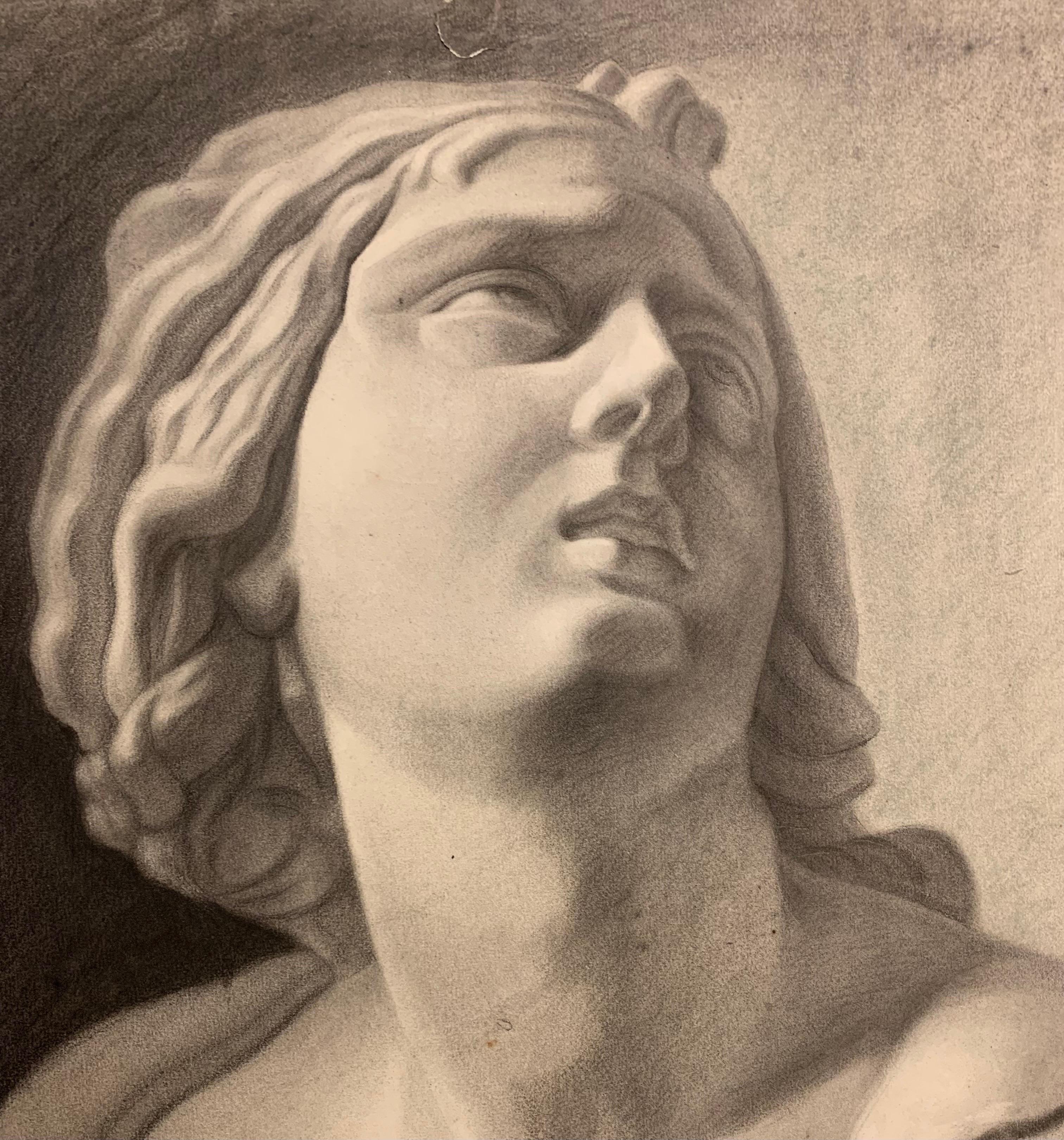 Academic drawing of classical bust sculpture. 19th century For Sale 9
