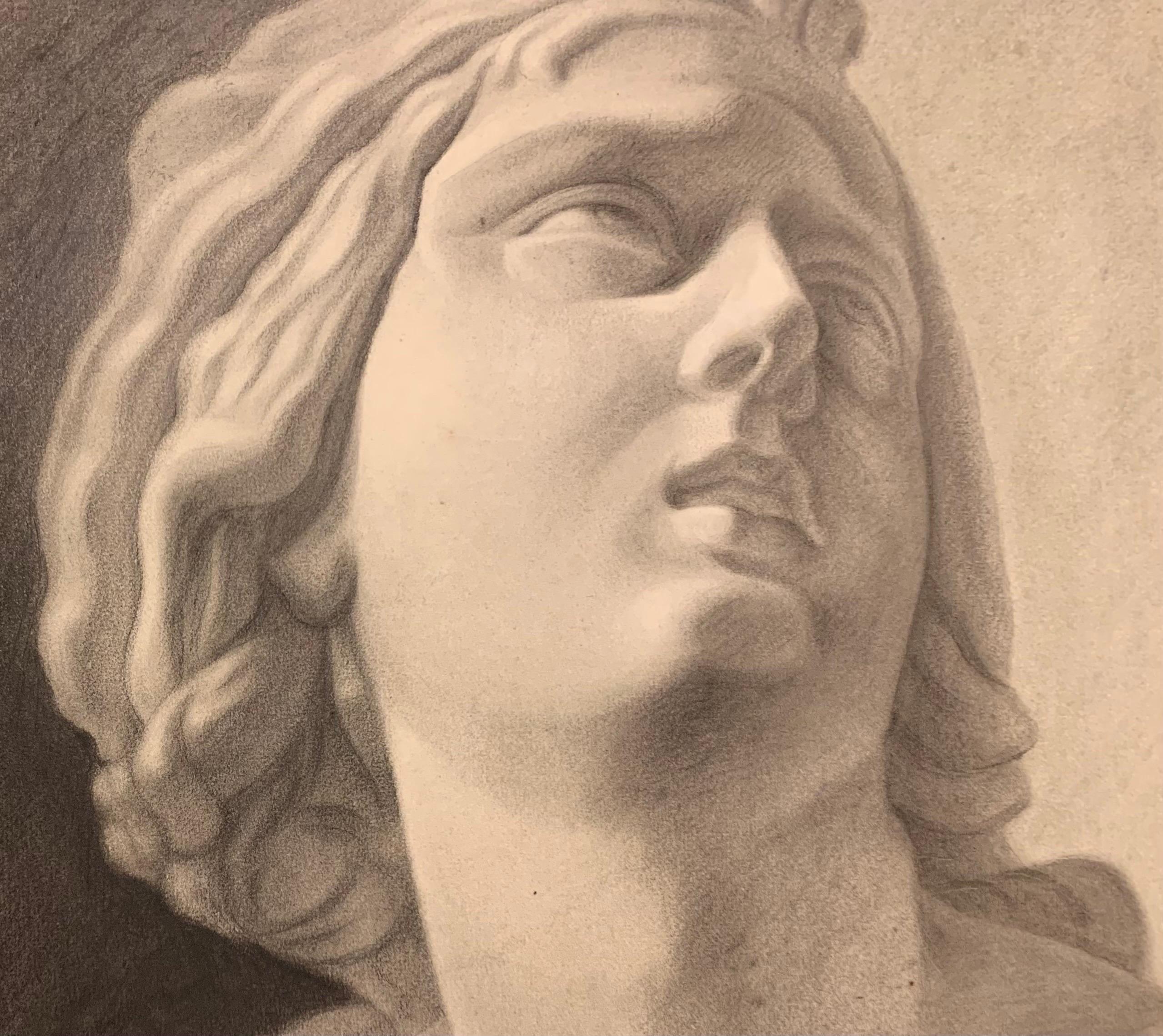 Academic drawing of classical bust sculpture. 19th century For Sale 10