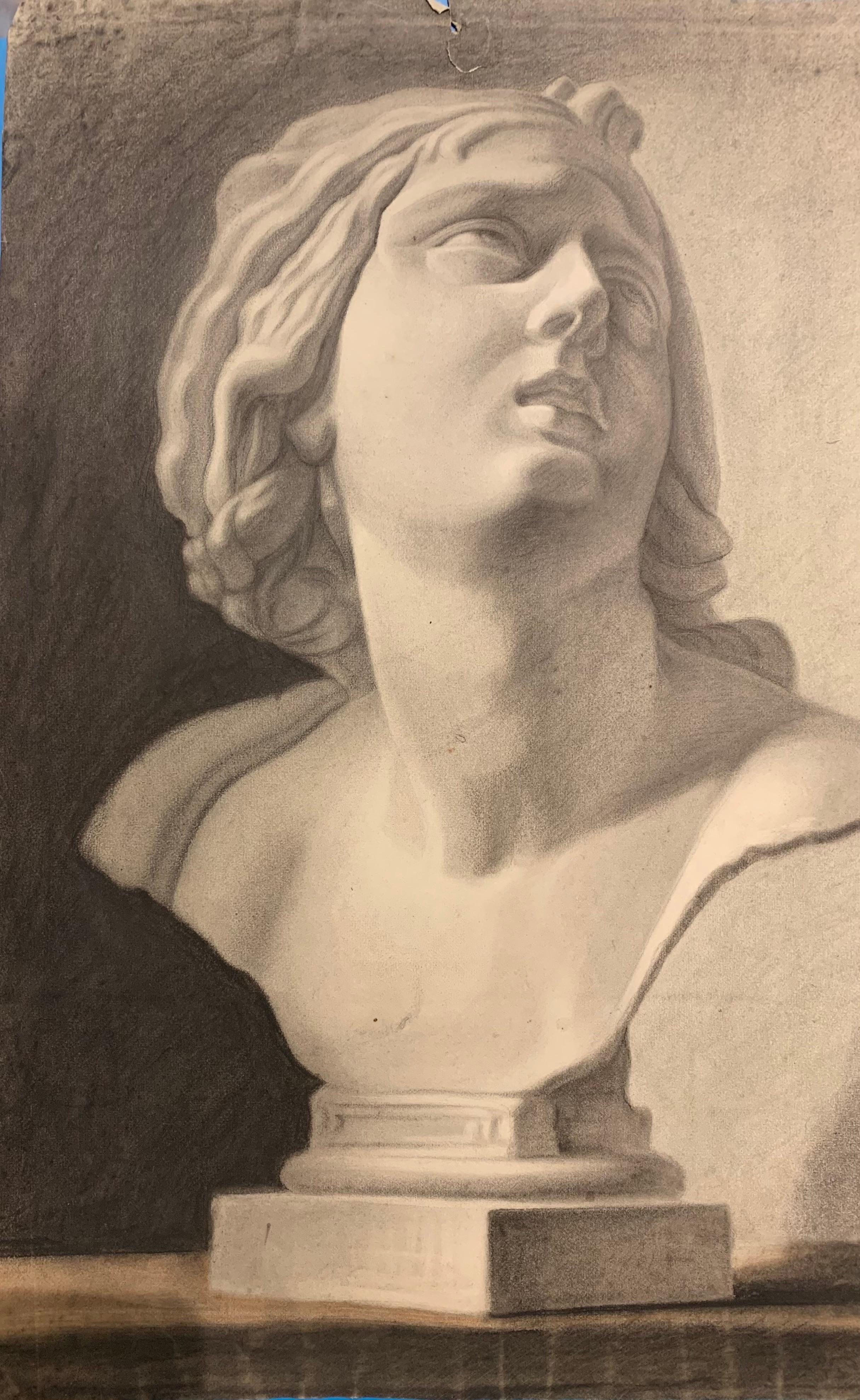 Academic drawing of classical bust sculpture. 19th century - Art by Unknown