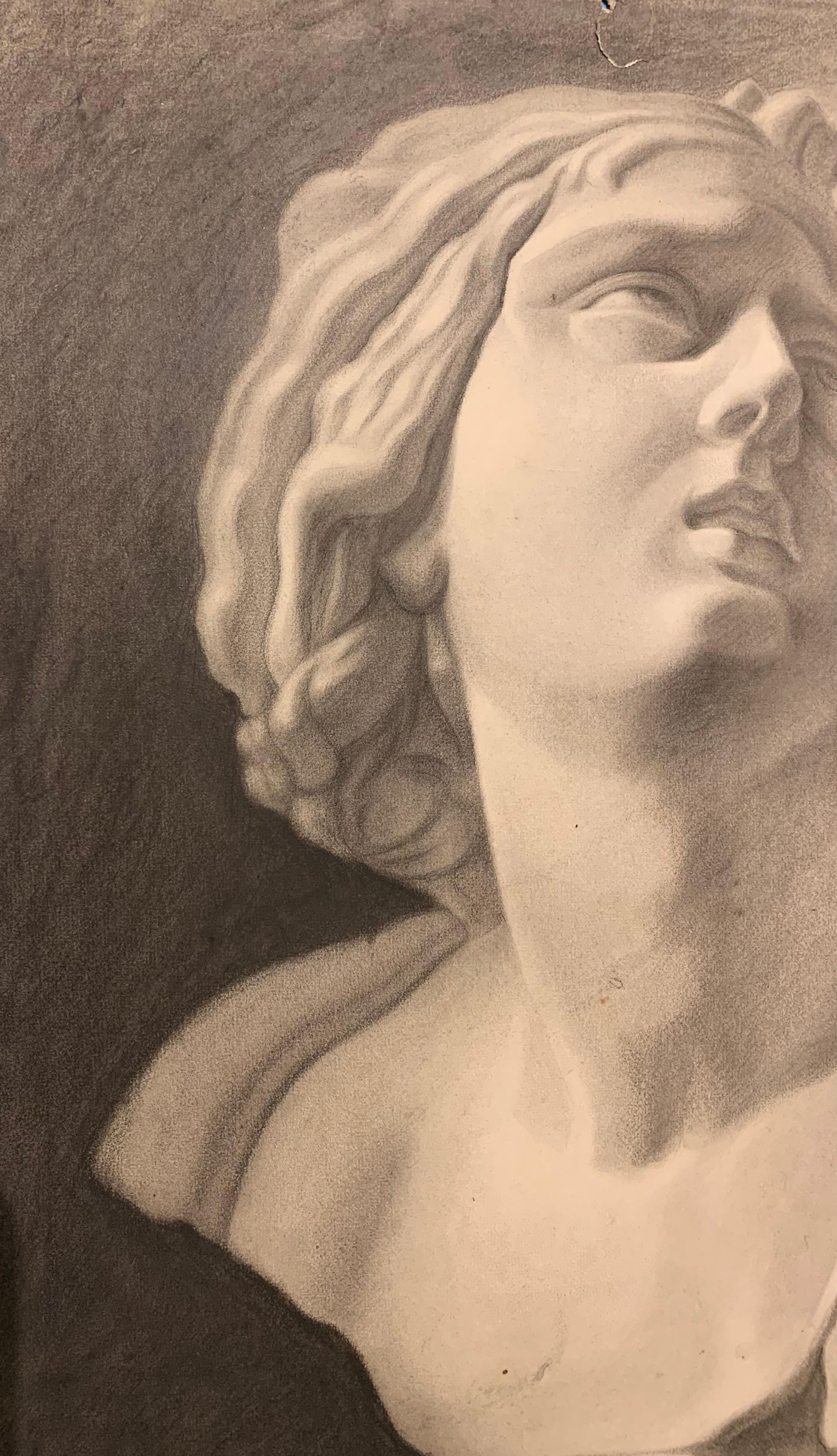 Academic drawing of classical bust sculpture. 19th century For Sale 11