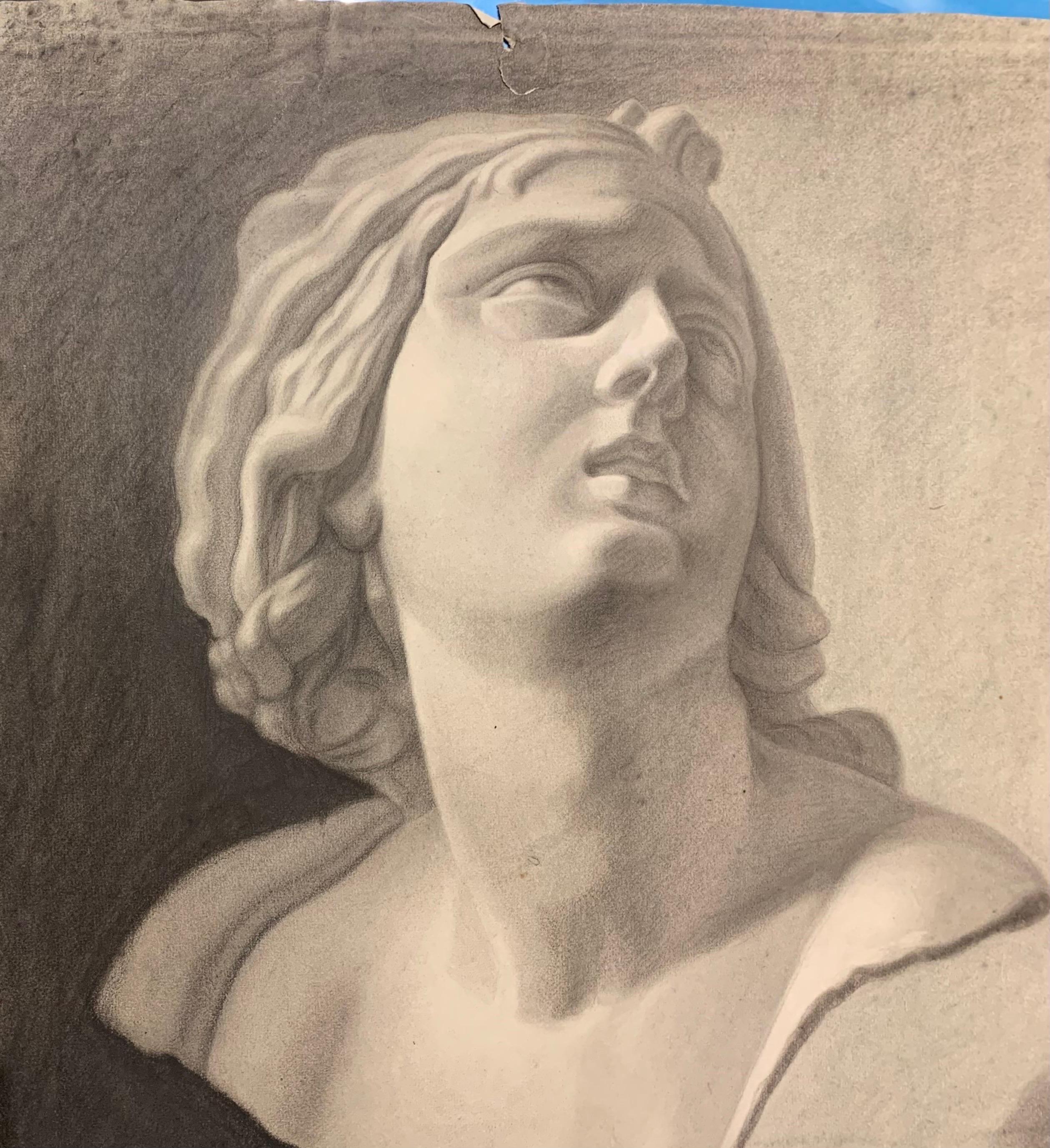 Academic drawing of classical bust sculpture. 19th century For Sale 12