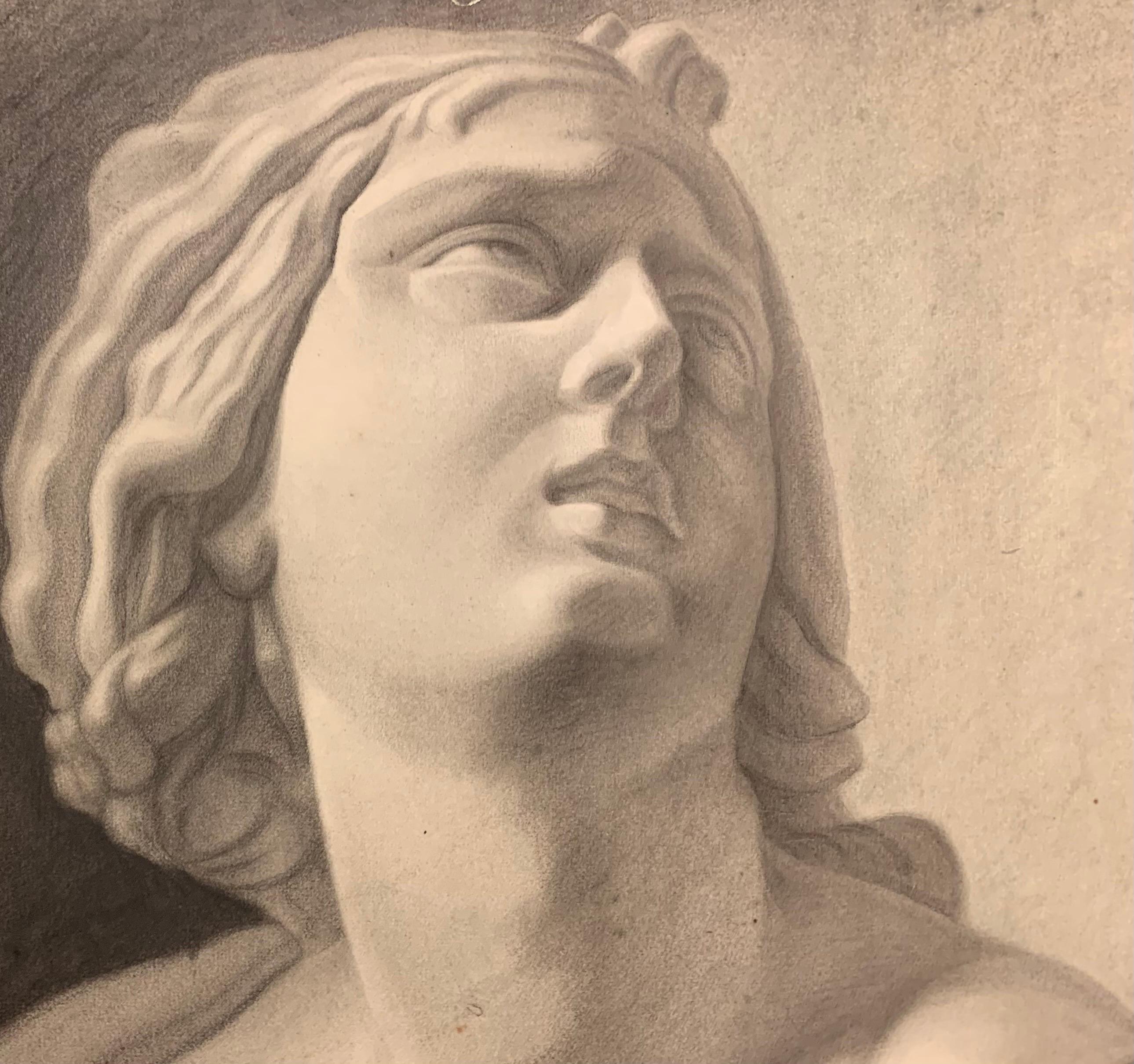Academic drawing of classical bust sculpture. 19th century For Sale 13