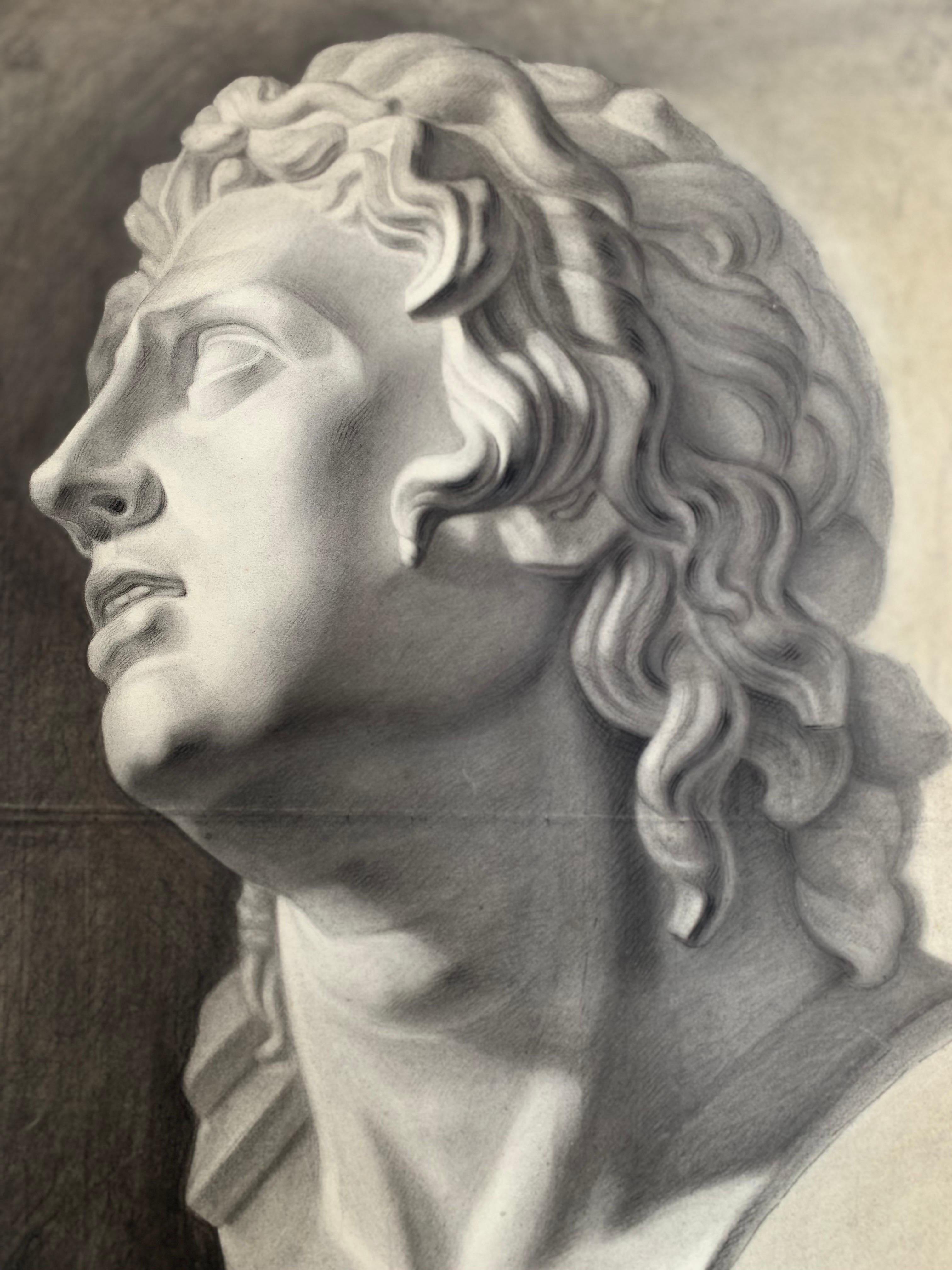 Large XIXth cent. Academic drawing of Alexander The Great’s bust from Uffizi.  - Art by Unknown