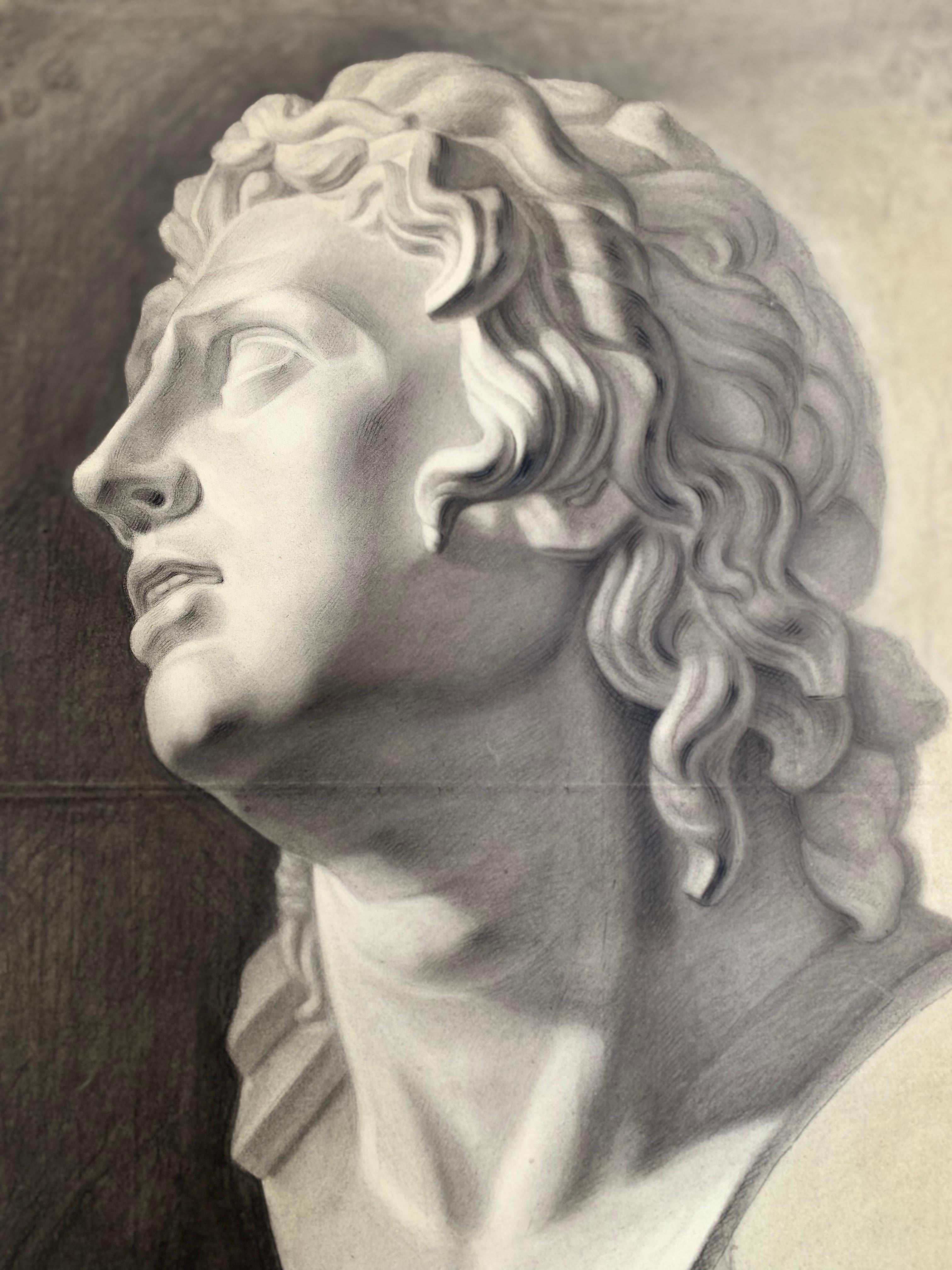 Unknown Figurative Art - Large XIXth cent. Academic drawing of Alexander The Great’s bust from Uffizi. 