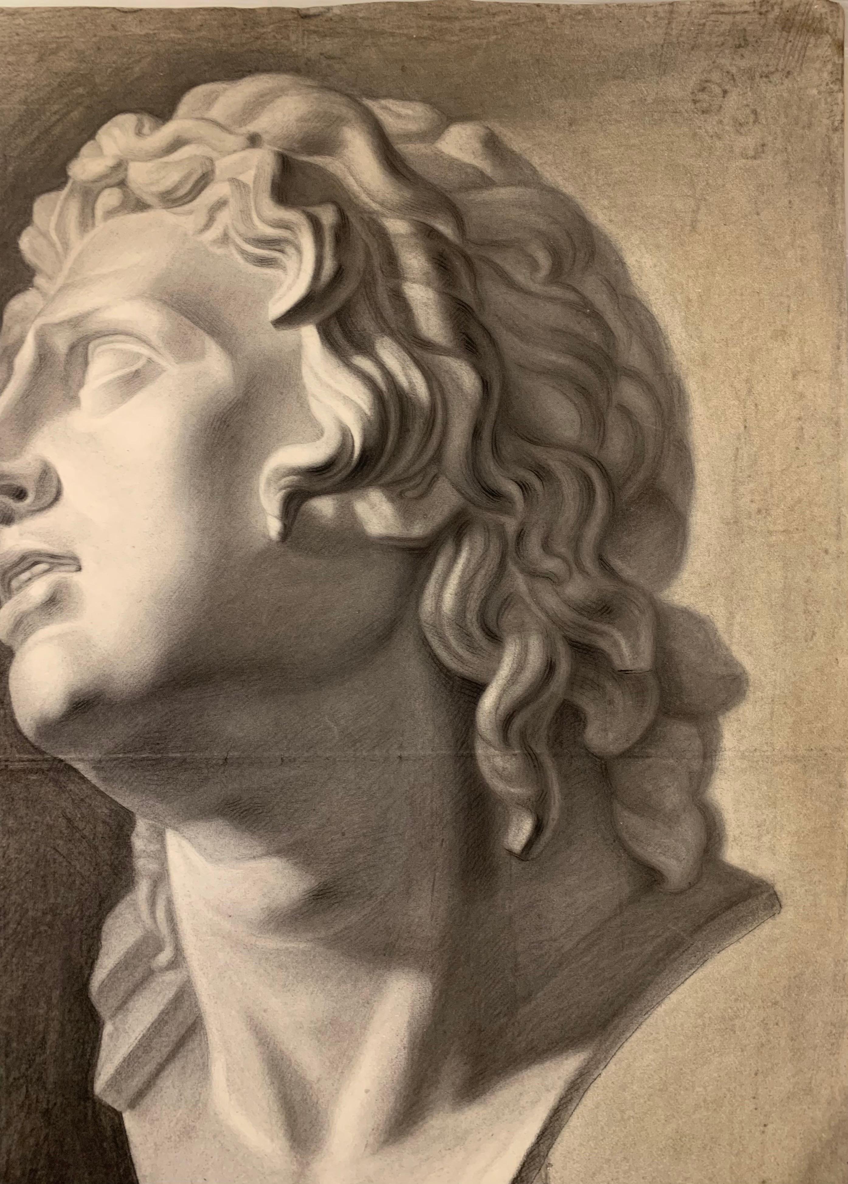 Large XIXth cent. Academic drawing of Alexander The Great’s bust from Uffizi.  For Sale 11