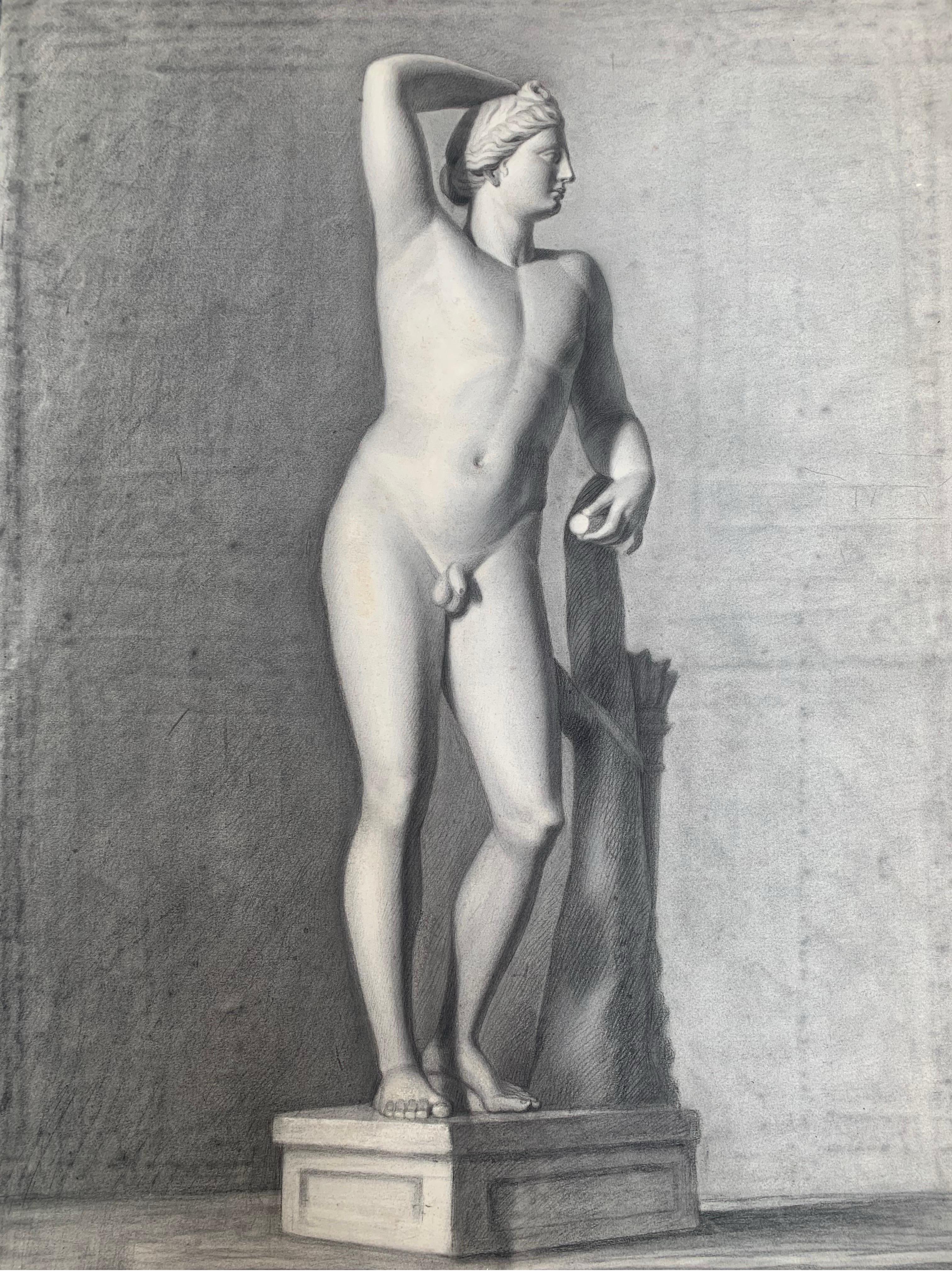 Apollo aus der Uffizien-Galerie. Italienische akademische Zeichnung. 19. Jahrhundert. (Akademisch), Art, von Unknown