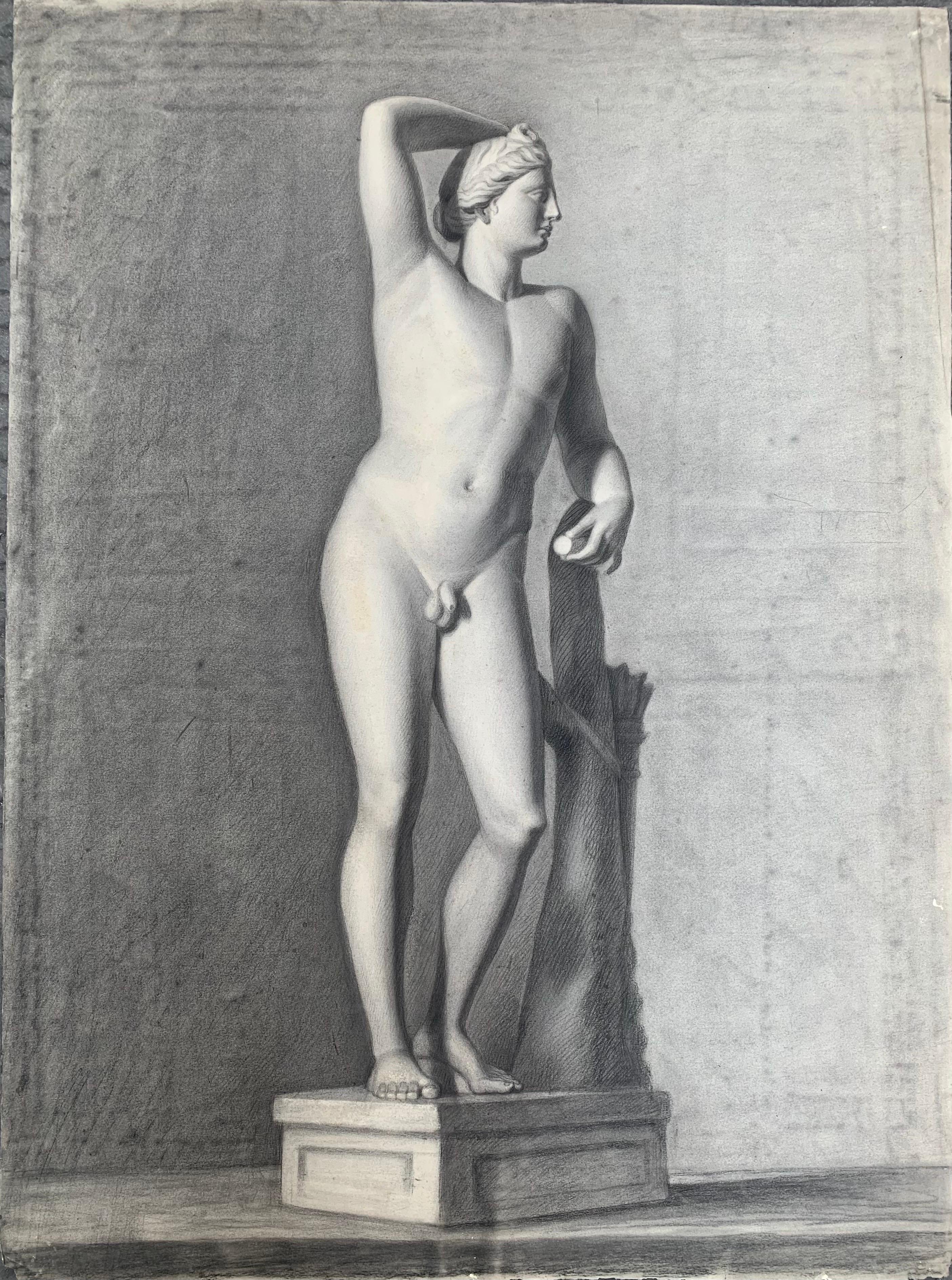 Apollo aus der Uffizien-Galerie. Italienische akademische Zeichnung. 19. Jahrhundert. – Art von Unknown