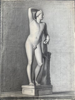 Apollo from Uffizi Gallery. Italian Academic Drawing. 19th century.