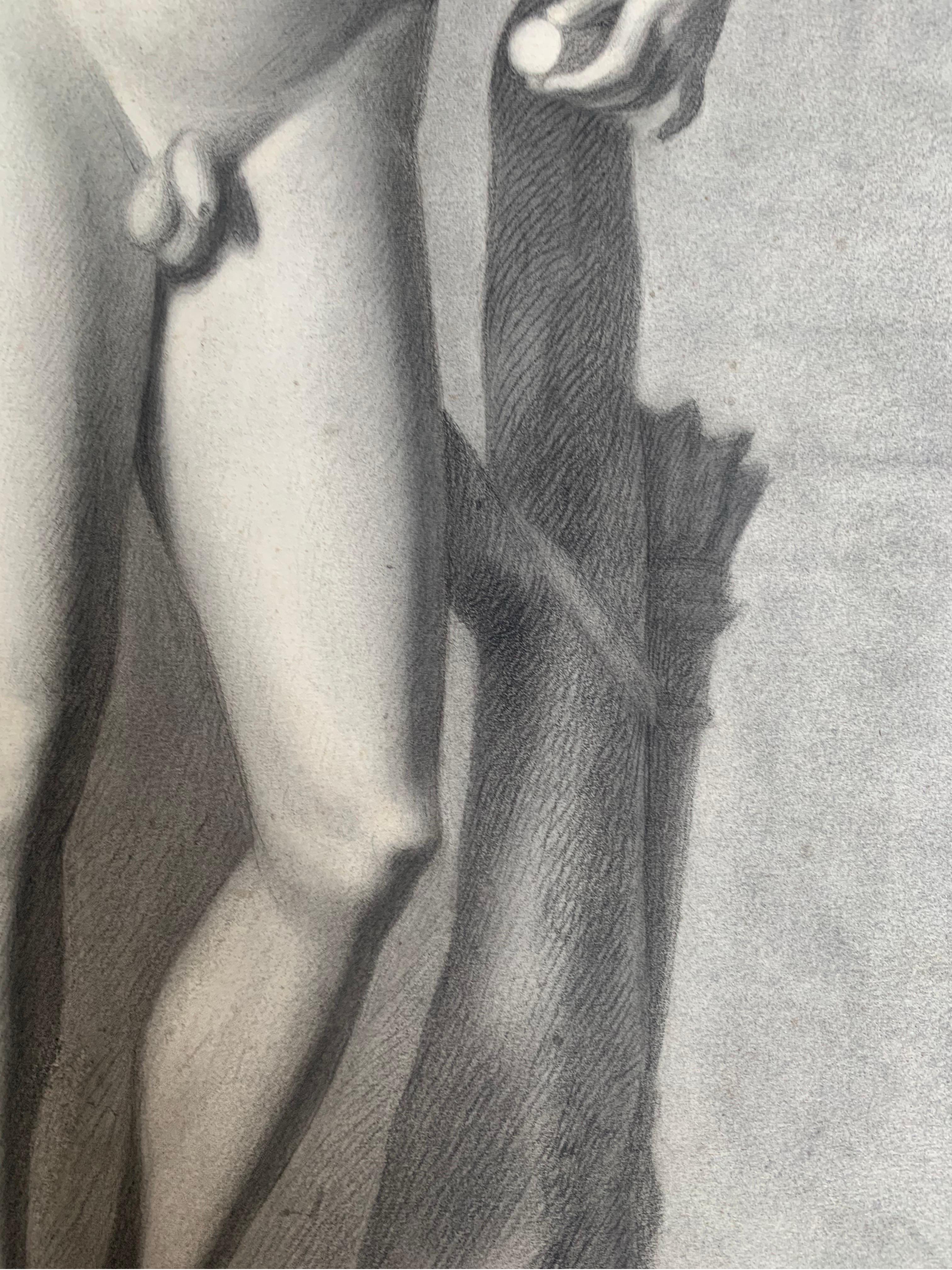 Apollo aus der Uffizien-Galerie. Italienische akademische Zeichnung. 19. Jahrhundert. 6