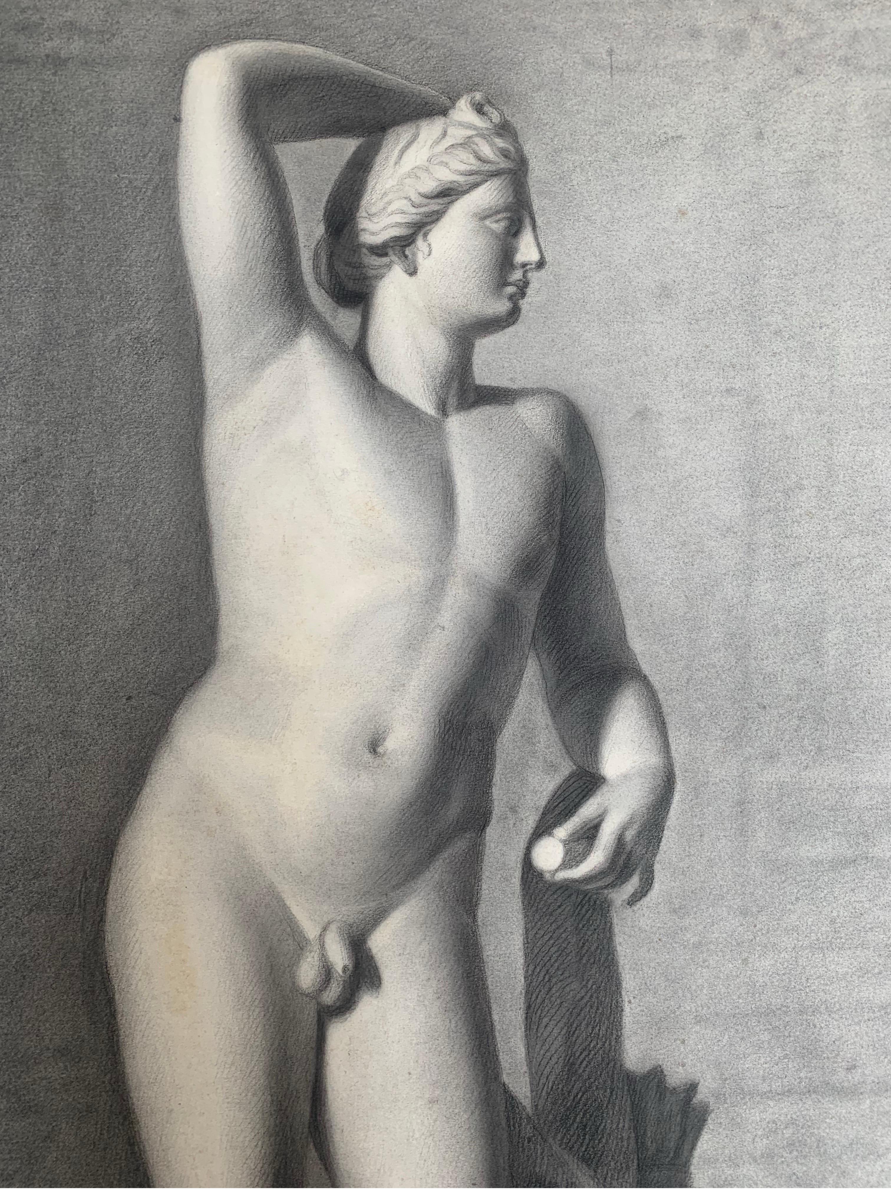 Apollo aus der Uffizien-Galerie. Italienische akademische Zeichnung. 19. Jahrhundert. 7