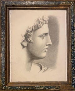 Chef d'Apollo de  Belvédère. Dessin académique italien. 19ème siècle