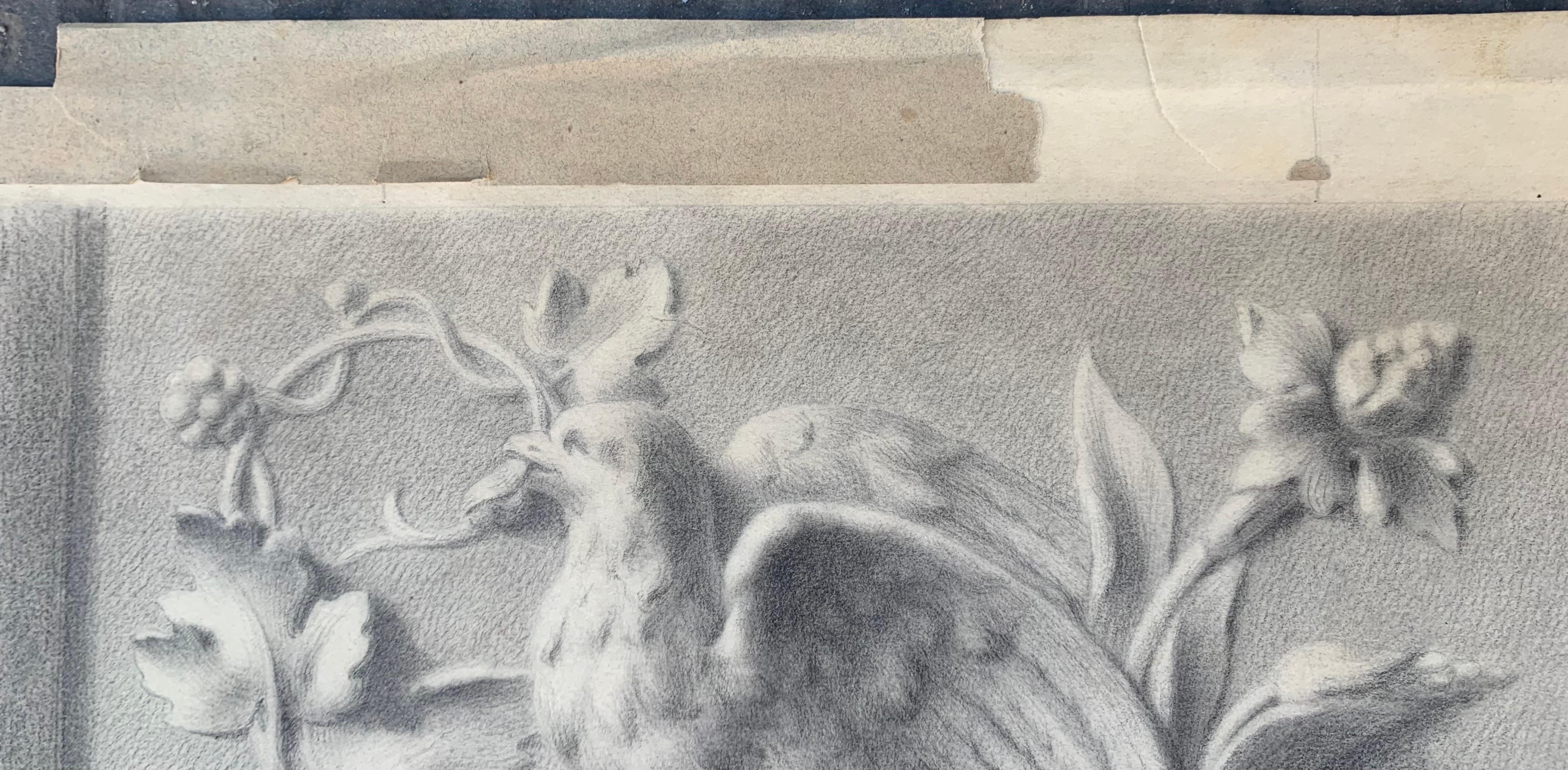 Academic Study of a Plaster Frieze: Grotesques, Dragons, and Birds, 1864 7