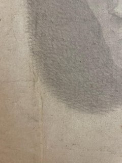 Academic Study of the Roman Bust, Tuscan School, 44 × 34 cm