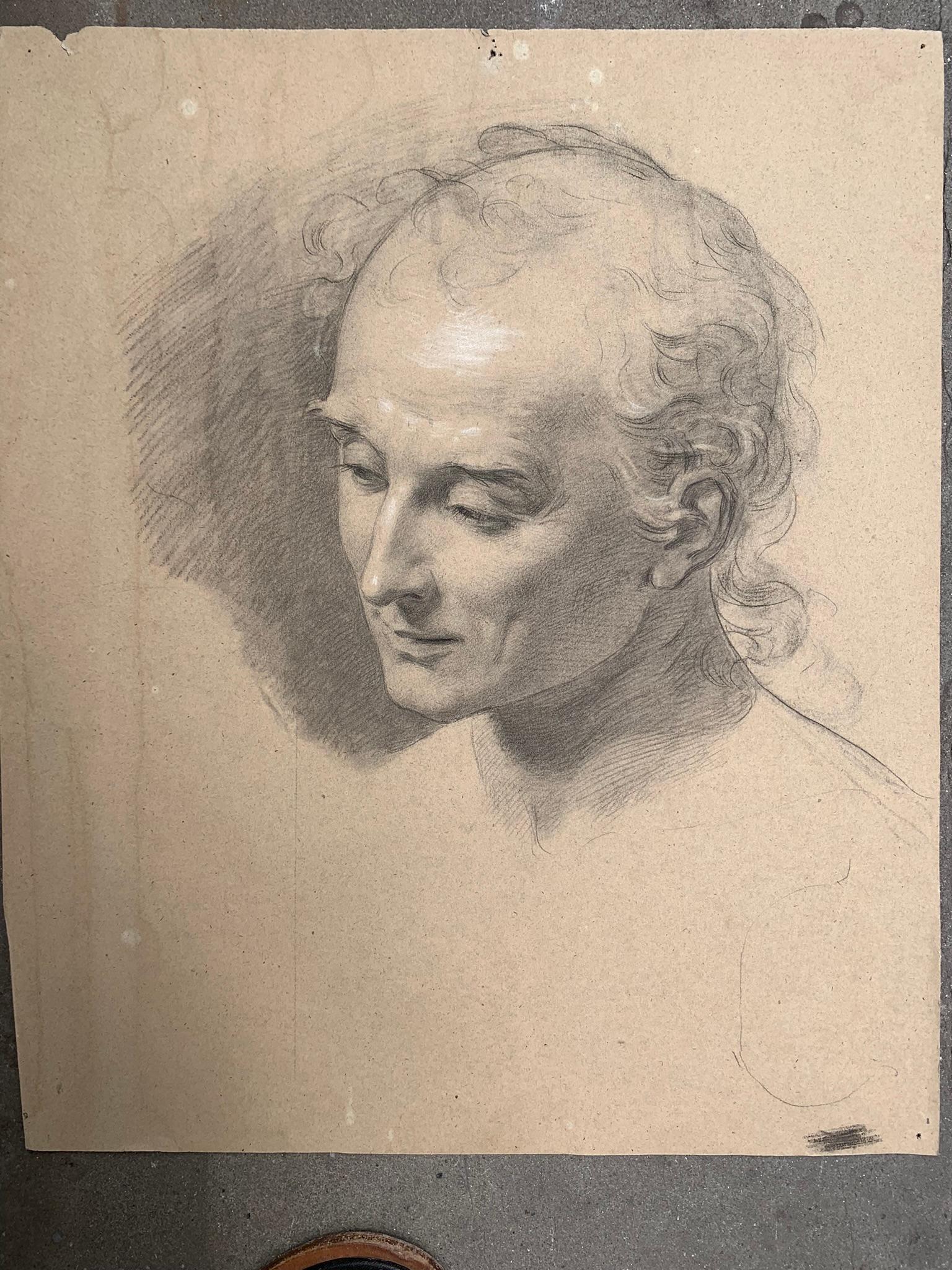 Academic Drawing Study For A Character's Head. XIX Century. - Painting by Enrico Reffo