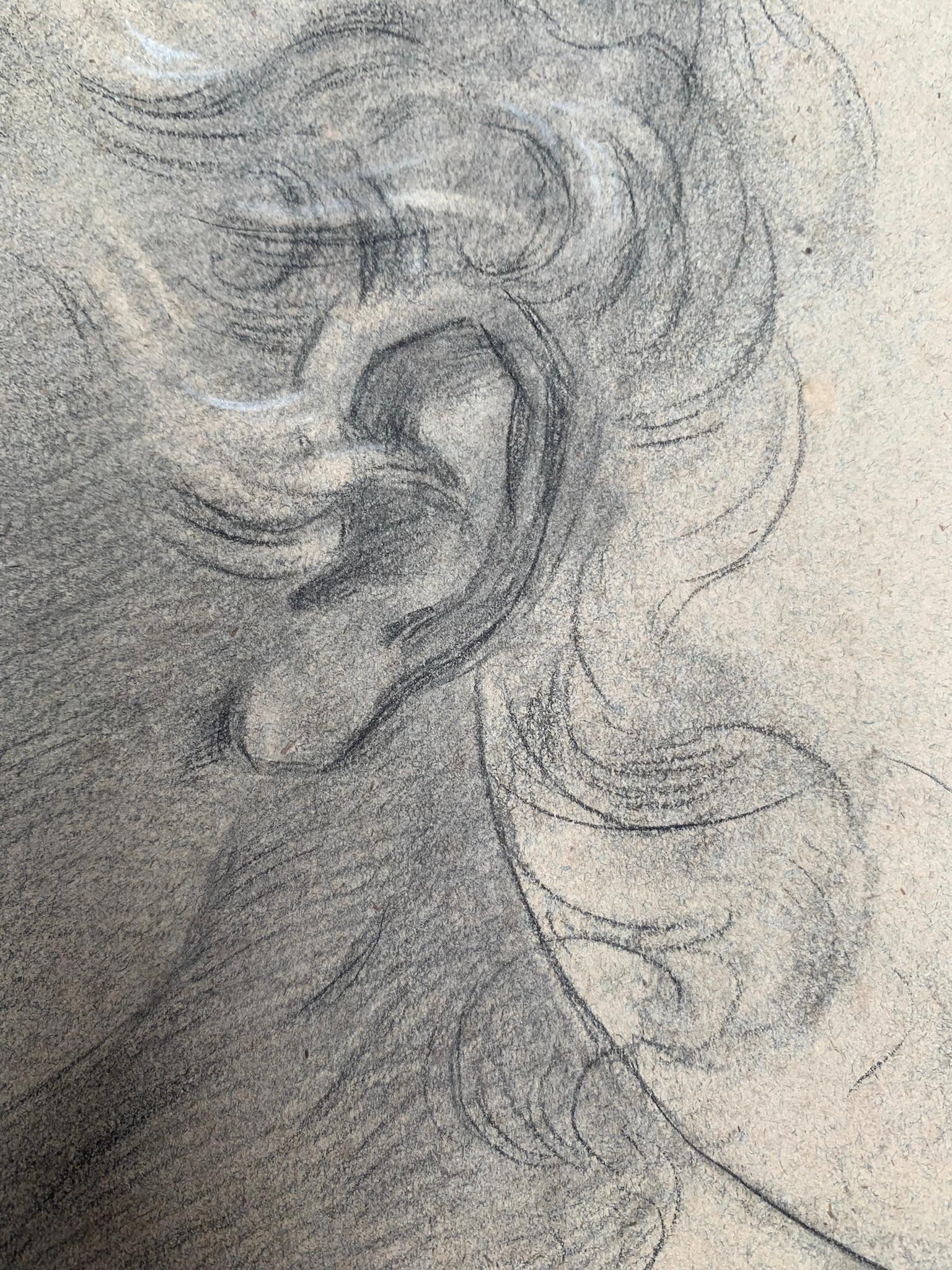 Drawing - Academic study for a character's head.
XIX century.
Drawing on lightly colored paper.
The drawing comes from the inheritance which mainly contained sketches and other works by the religious painter of Turin Luigi Reffo.
Often the painter,