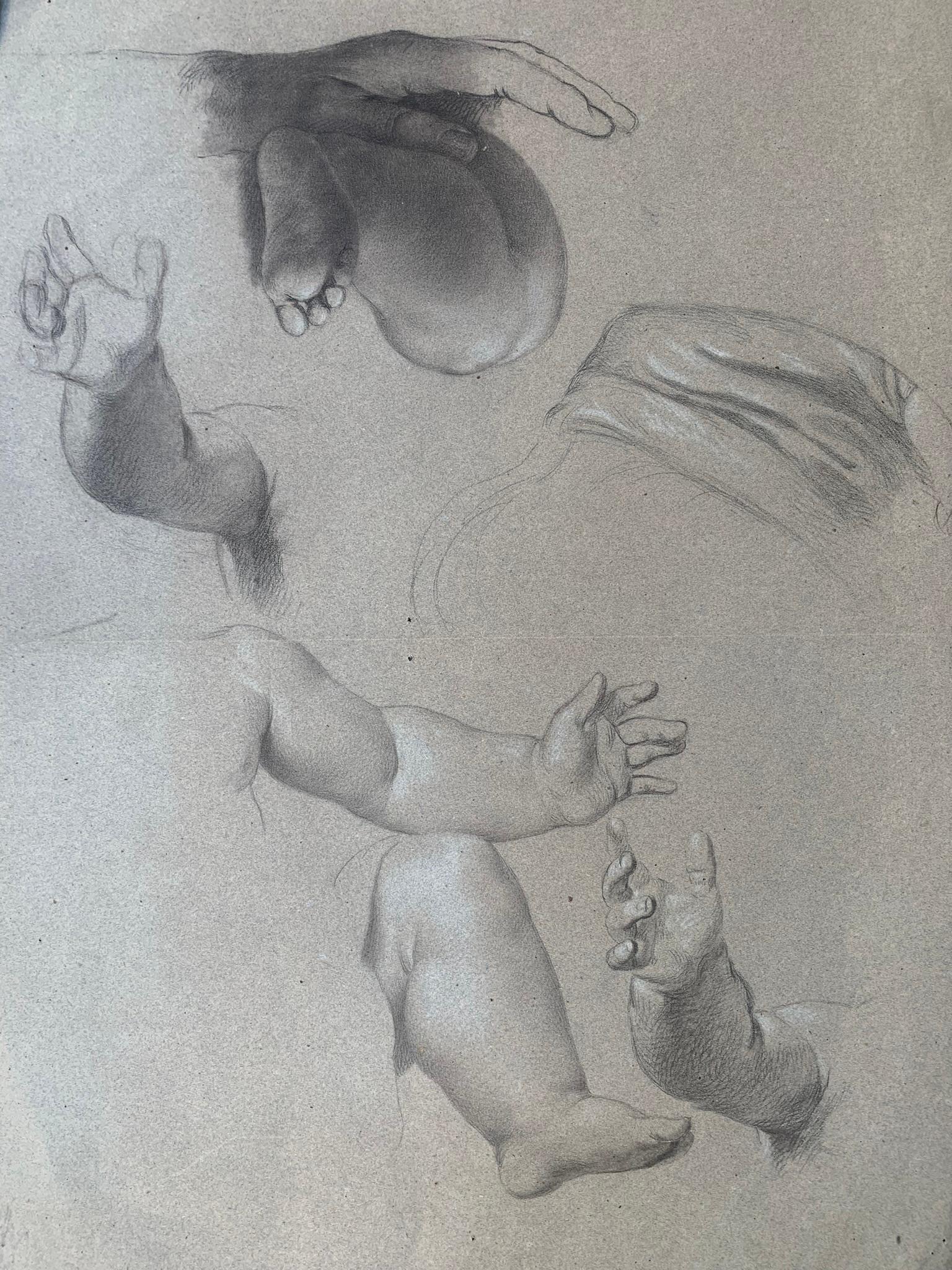 Academic study of hands and child's feet. 19th century. 