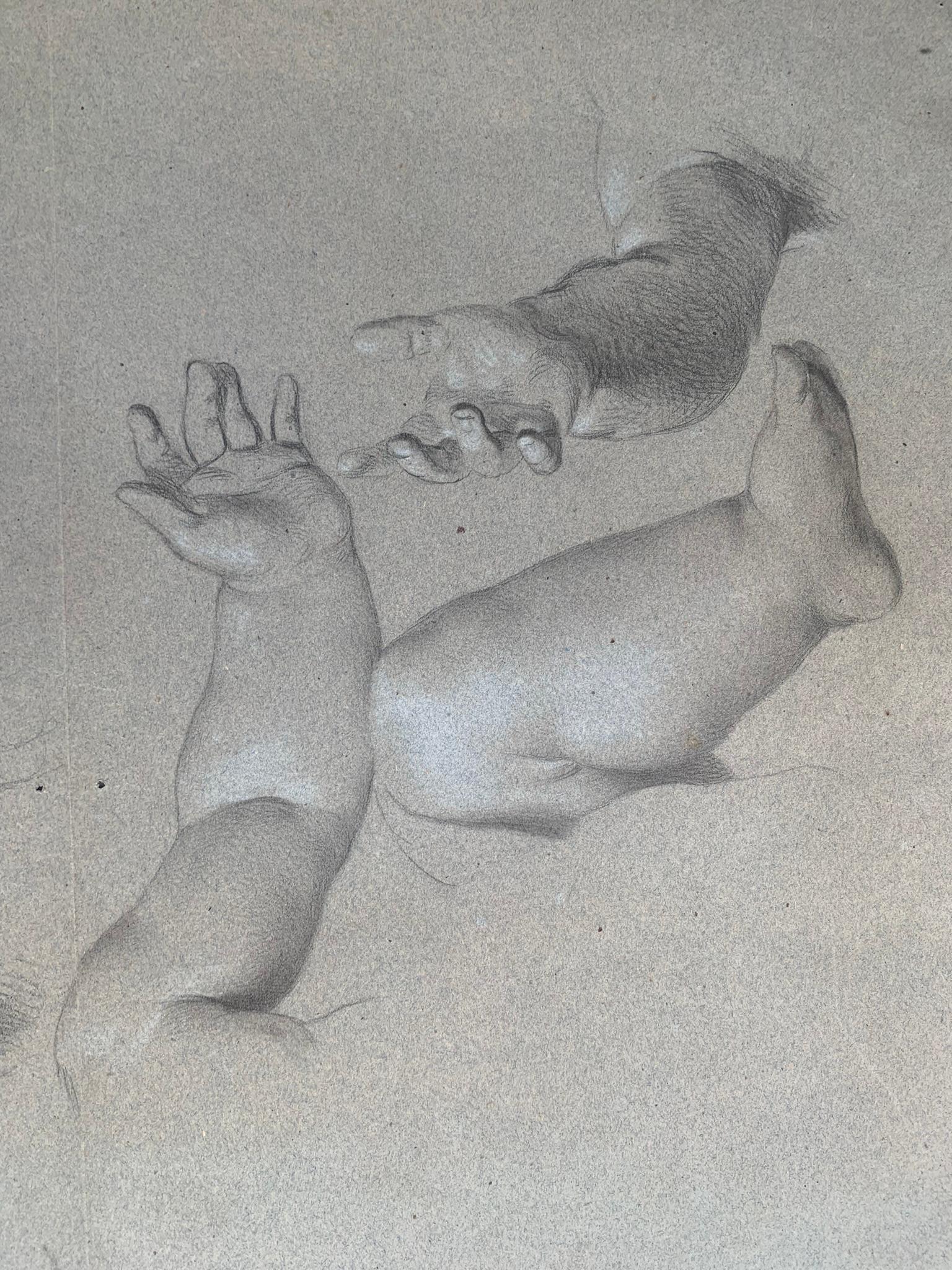 Academic study of hands and child's feet. 19th century.  For Sale 1