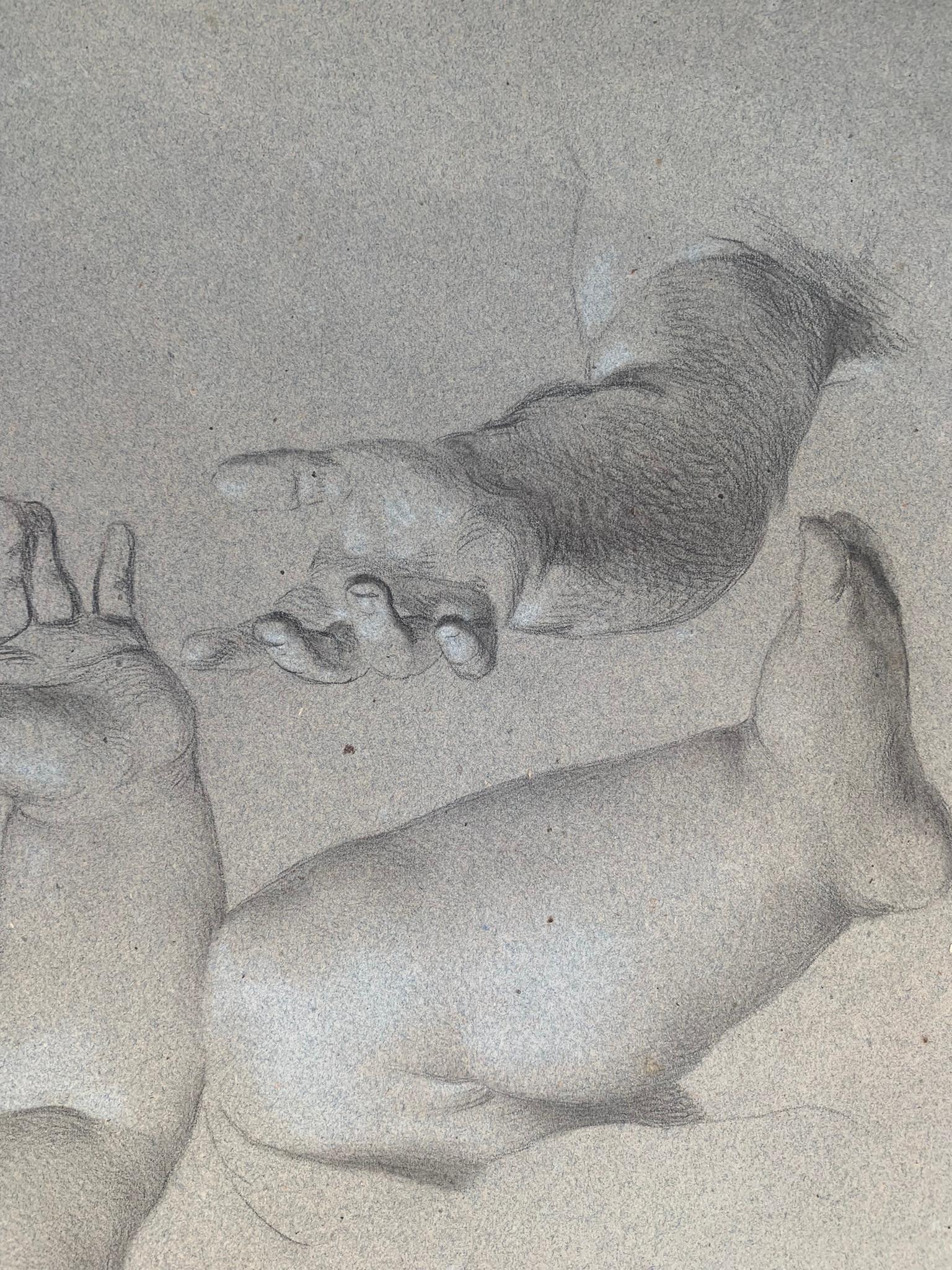 Academic study of hands and child's feet. 19th century.  2
