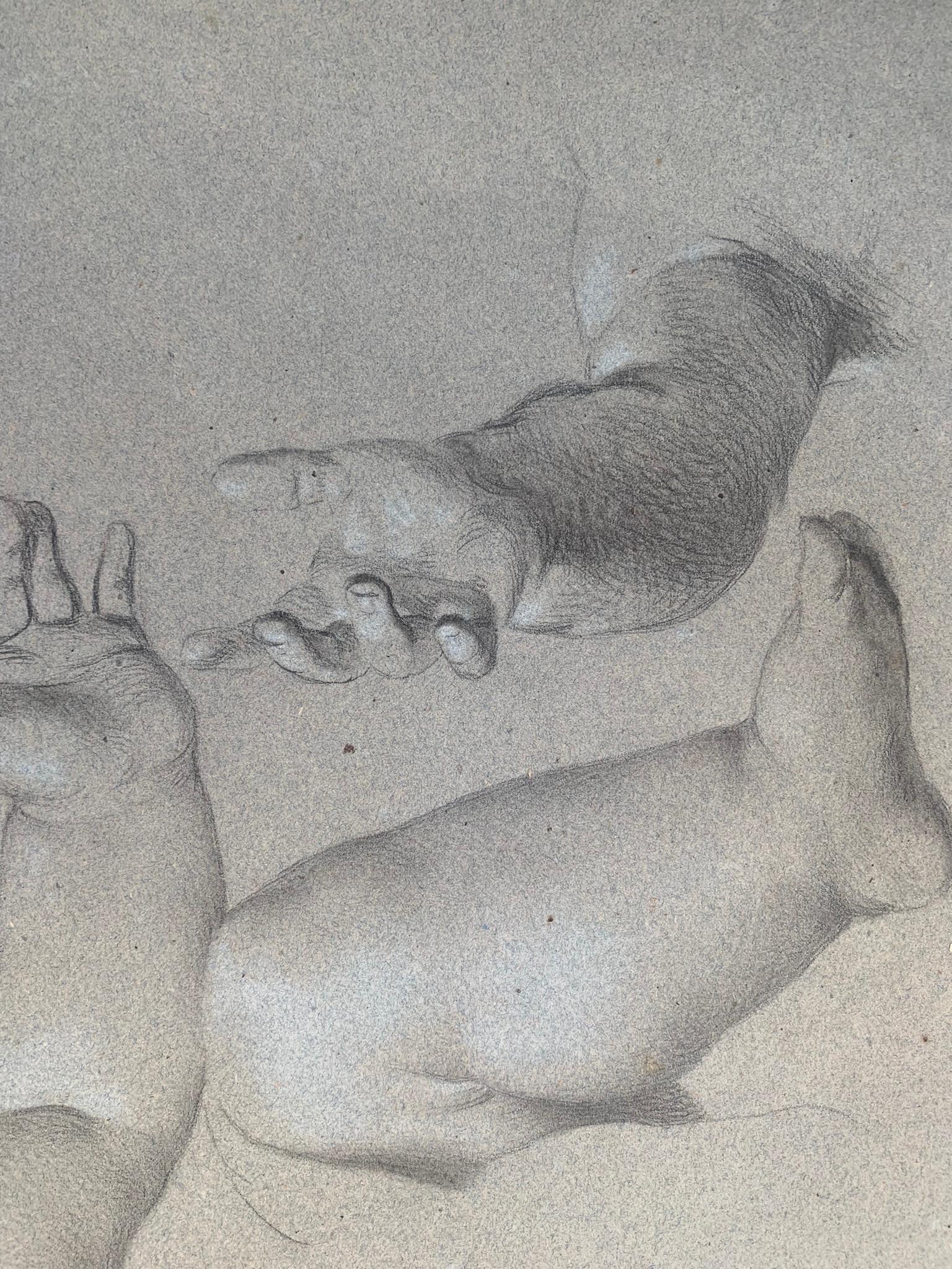 Academic study of hands and child's feet. 19th century. 2