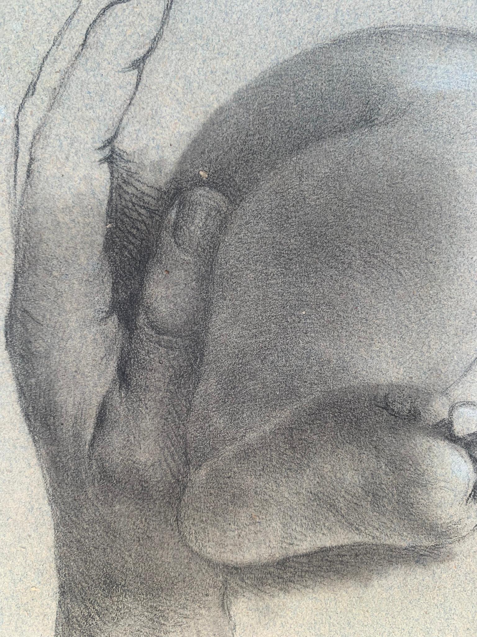 Academic study of hands and child's feet. 19th century.  5