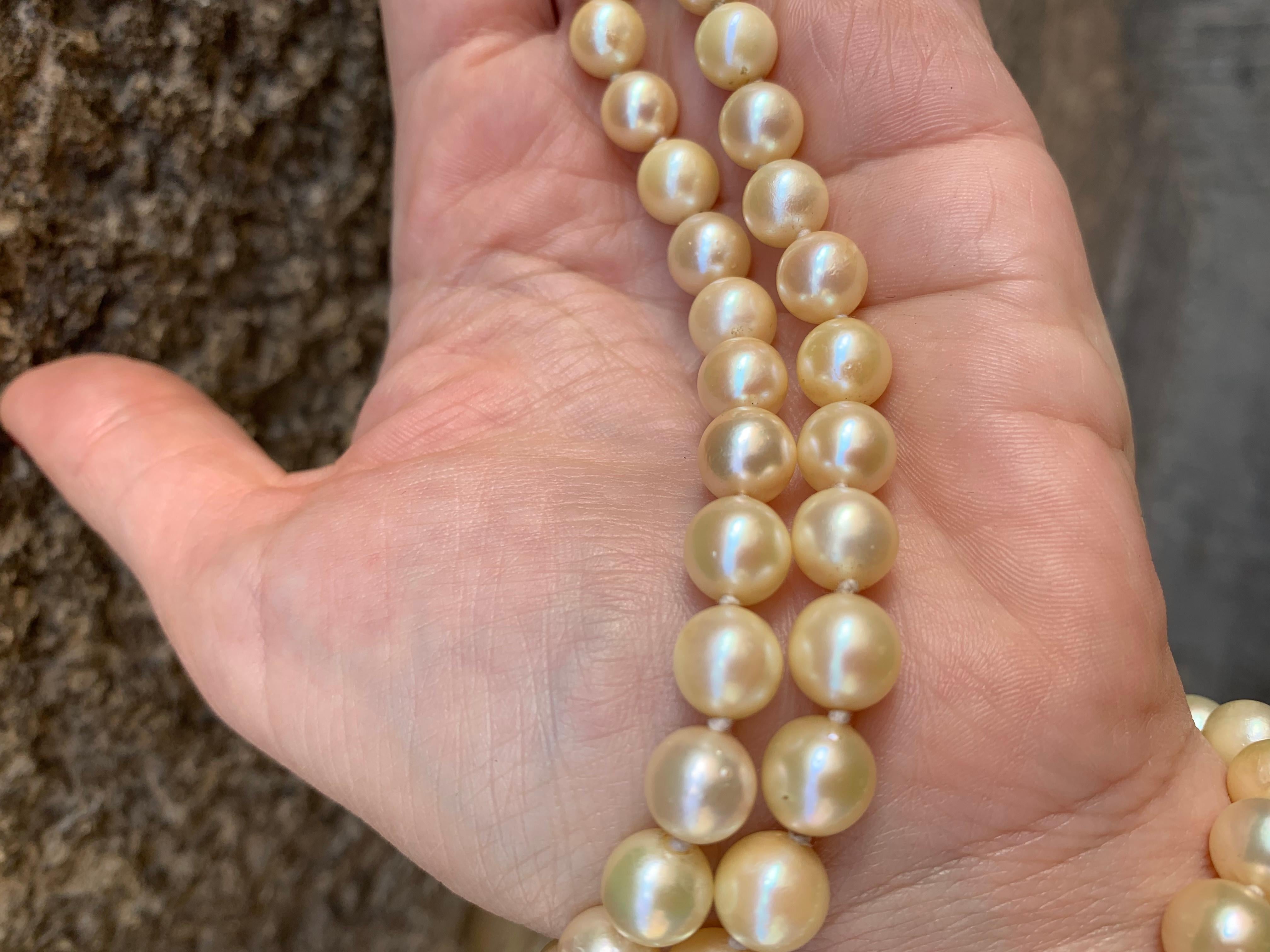 Collana di Perle di mare coltivate.   Anni 1960. Chiusura in oro bianco For Sale 2
