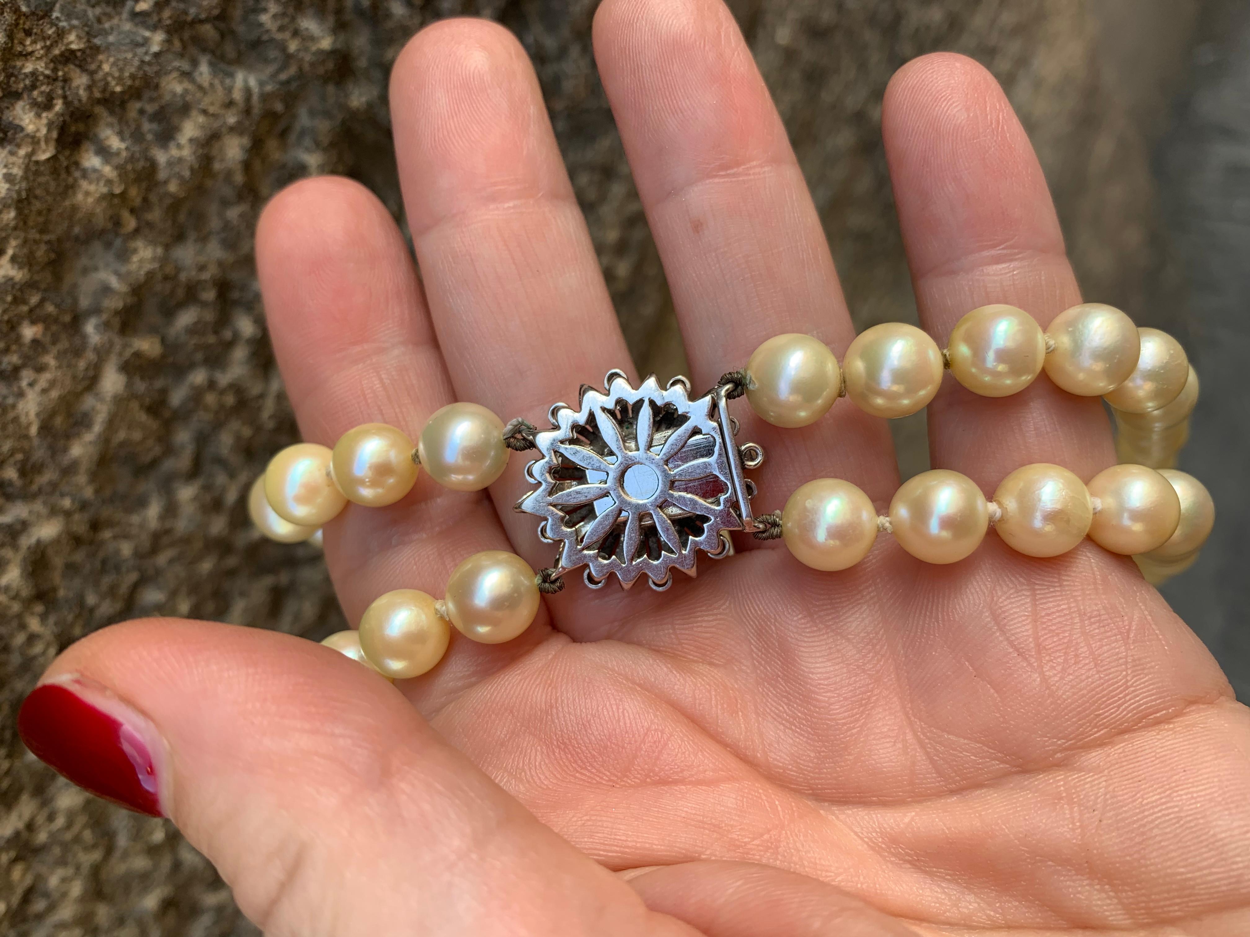 Collana di Perle di mare coltivate.   Anni 1960. Chiusura in oro bianco For Sale 10