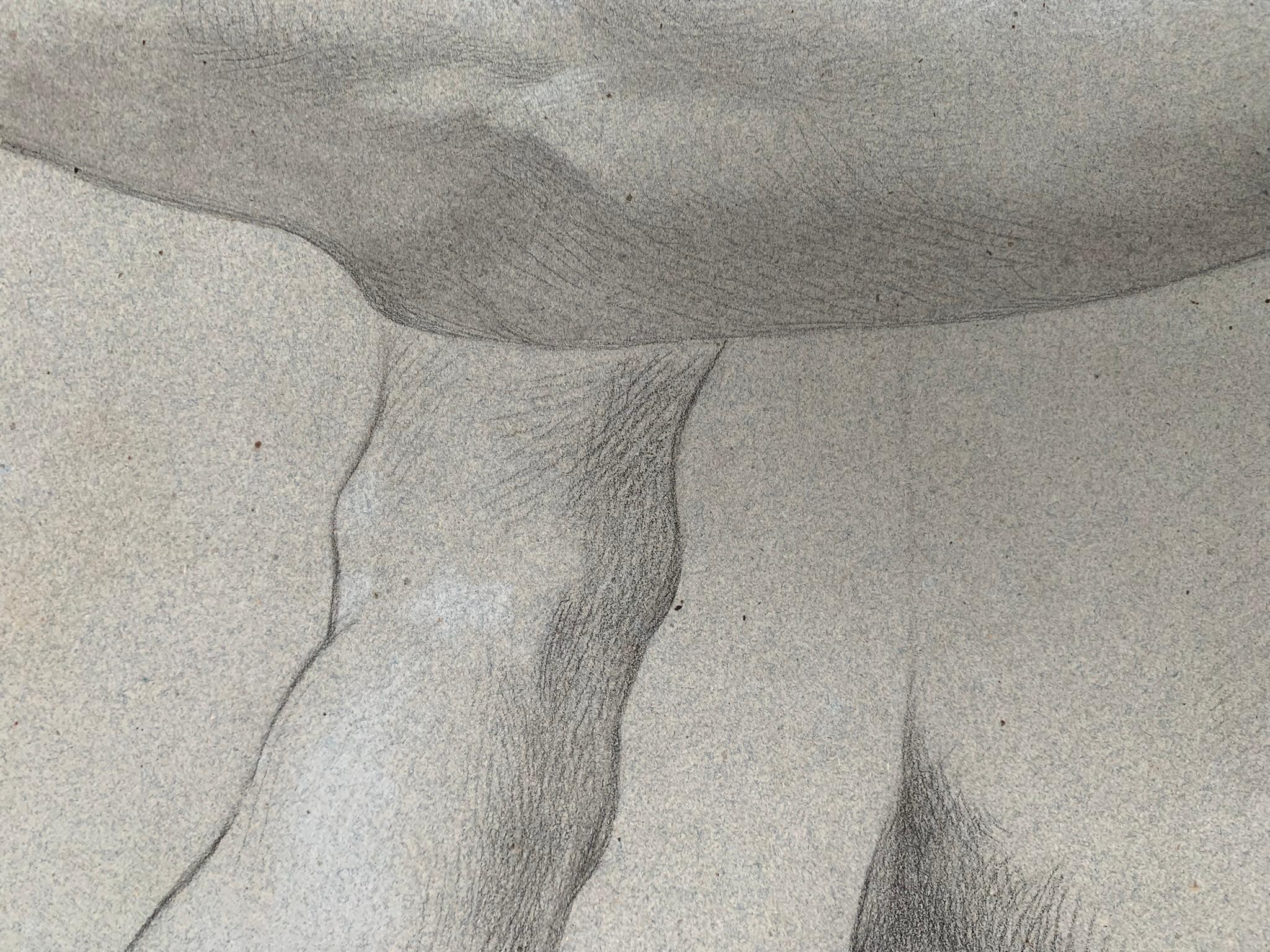 Akademische Studie über männliche Nacktheit. Zweiseitig. Skizzen zu reverce. 19. Jahrhundert – Art von Unknown