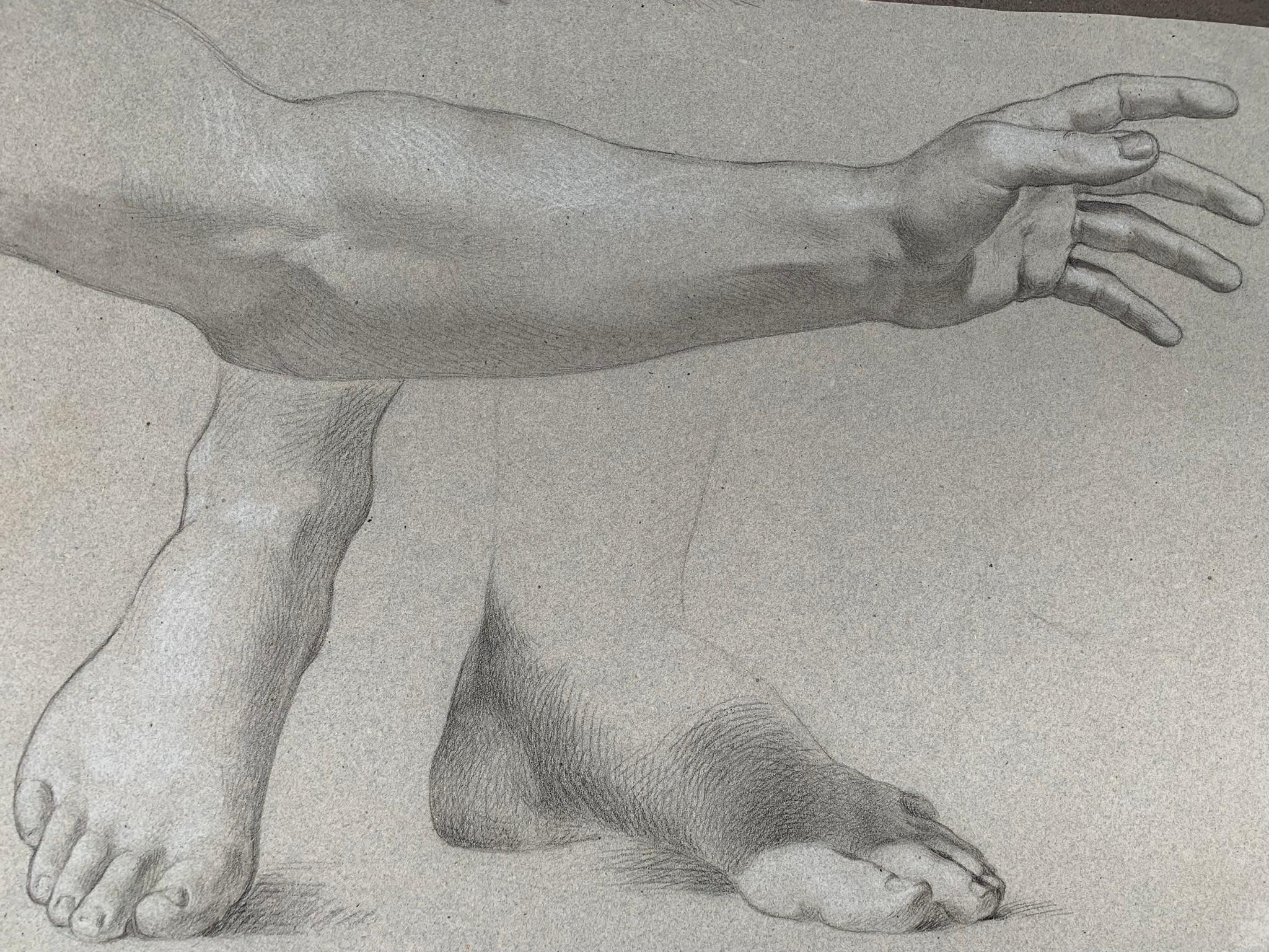 italienische Schulzeichnung aus dem 19. Jahrhundert. Akademische Studie über die Figur des jungen nackten Mannes.
Zeichnung aus zwei Seiten eines Blattes Papier
Auf der anderen Seite sind zwei Füße und ein Arm mit großem Geschick und hervorragender