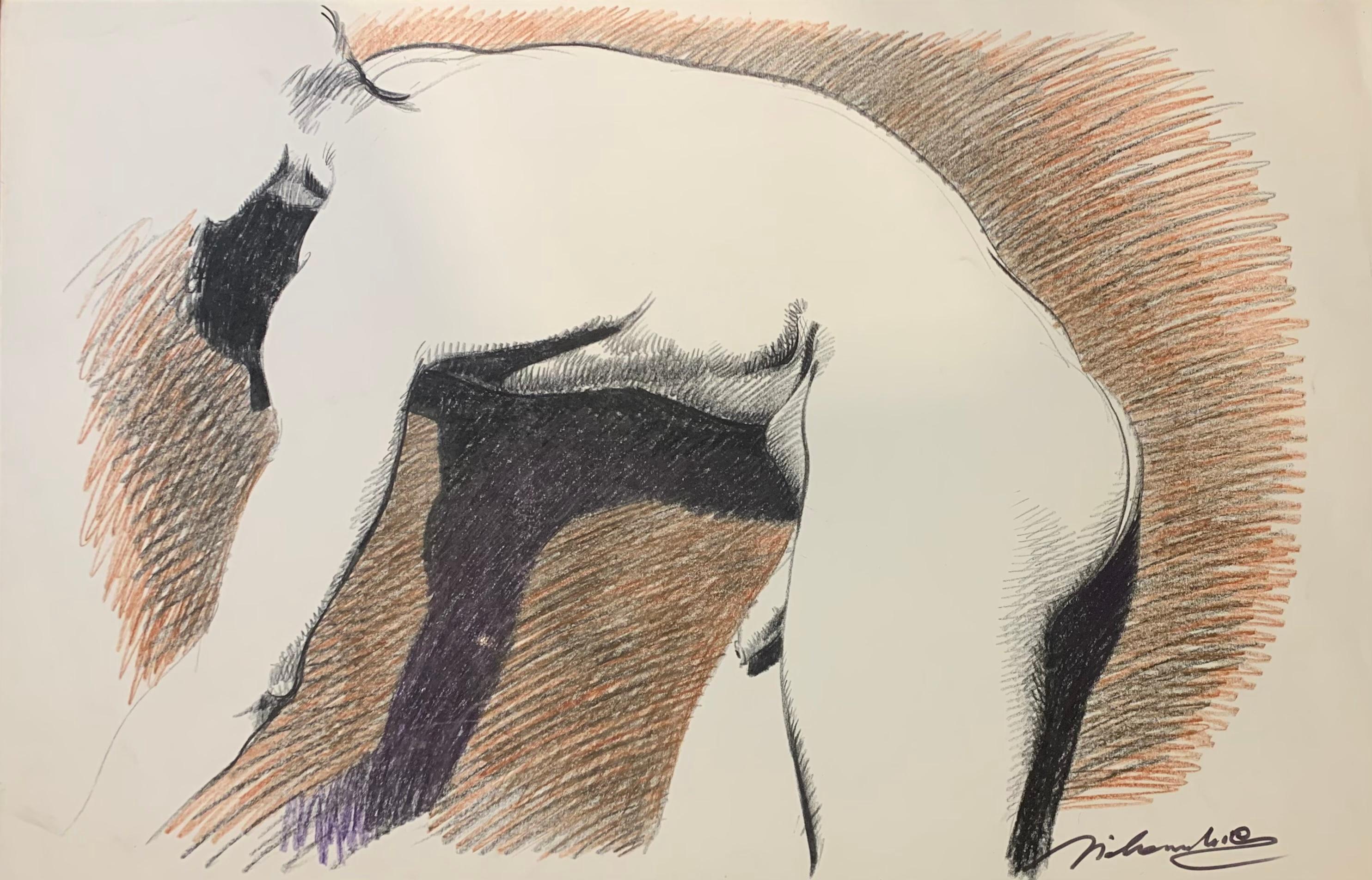 The body of a slim young man. 1970s. Marco Silombria signed.
Marco Silombria, Italian advertising graphic designer, artist and ceramist.
charcoal and wax on paper.
Signed bottom right: Silombria.
On the back of the drawing there is a sketch of a