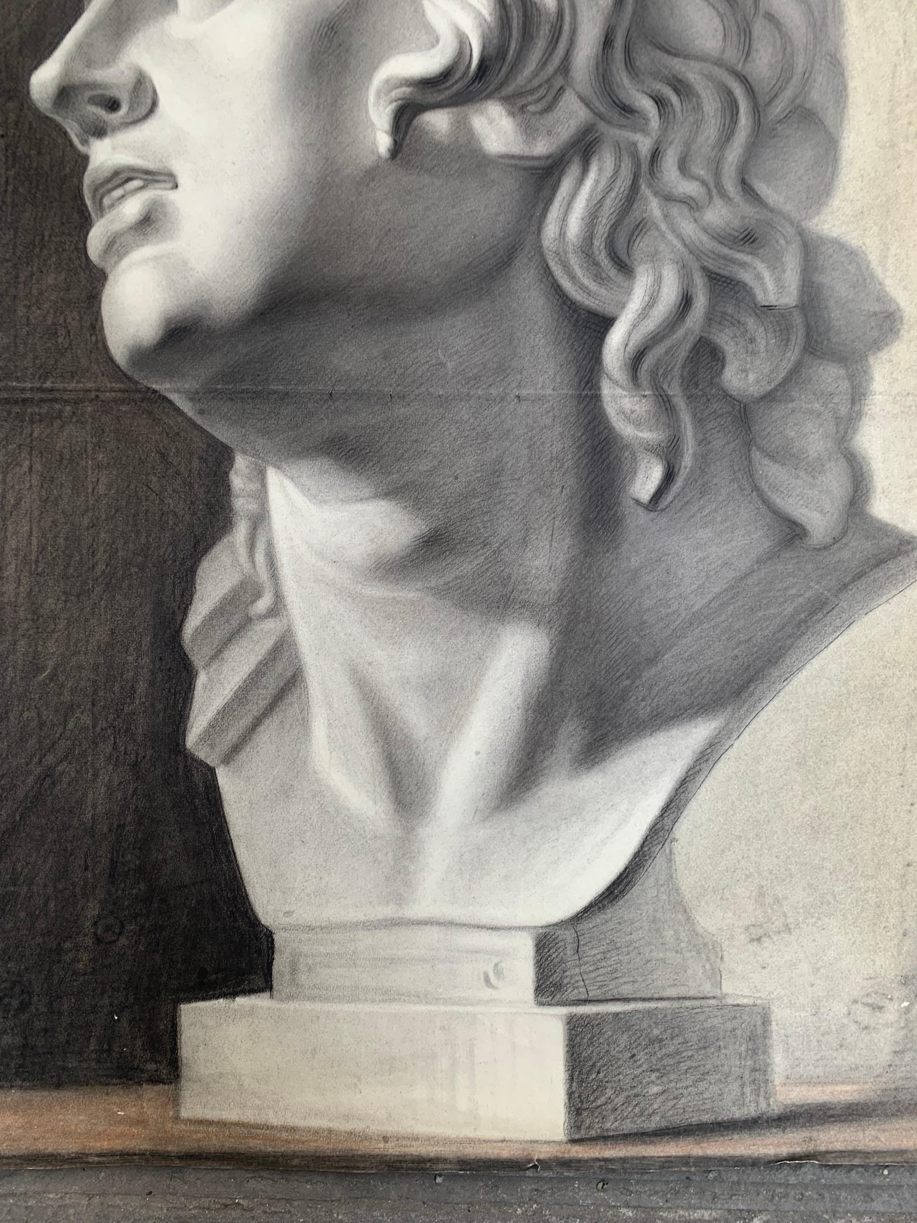 Large XIXth cent. Academic drawing of Alexander The Great’s bust from Uffizi.  For Sale 3