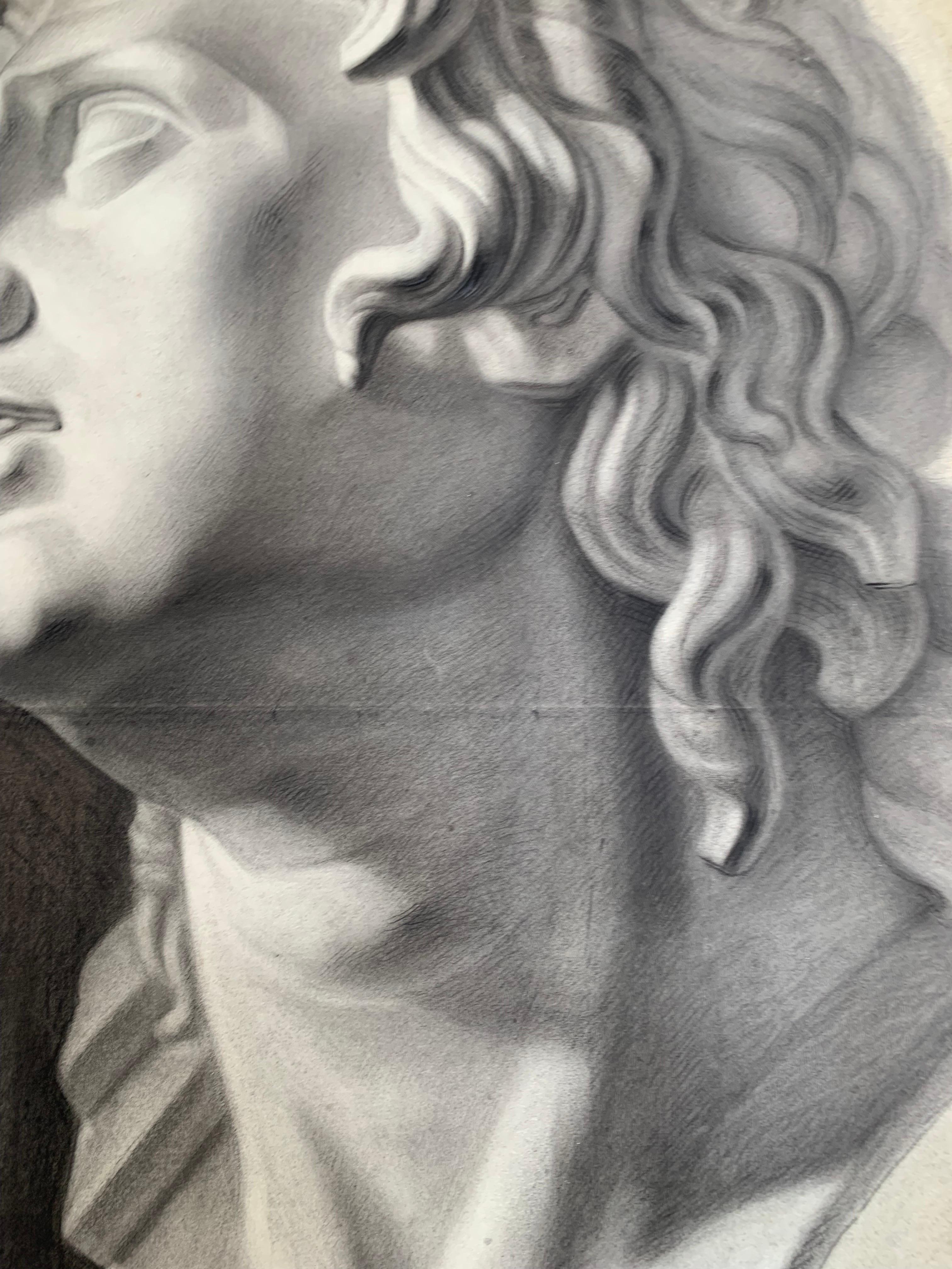 Large XIXth cent. Academic drawing of Alexander The Great’s bust from Uffizi.  For Sale 4