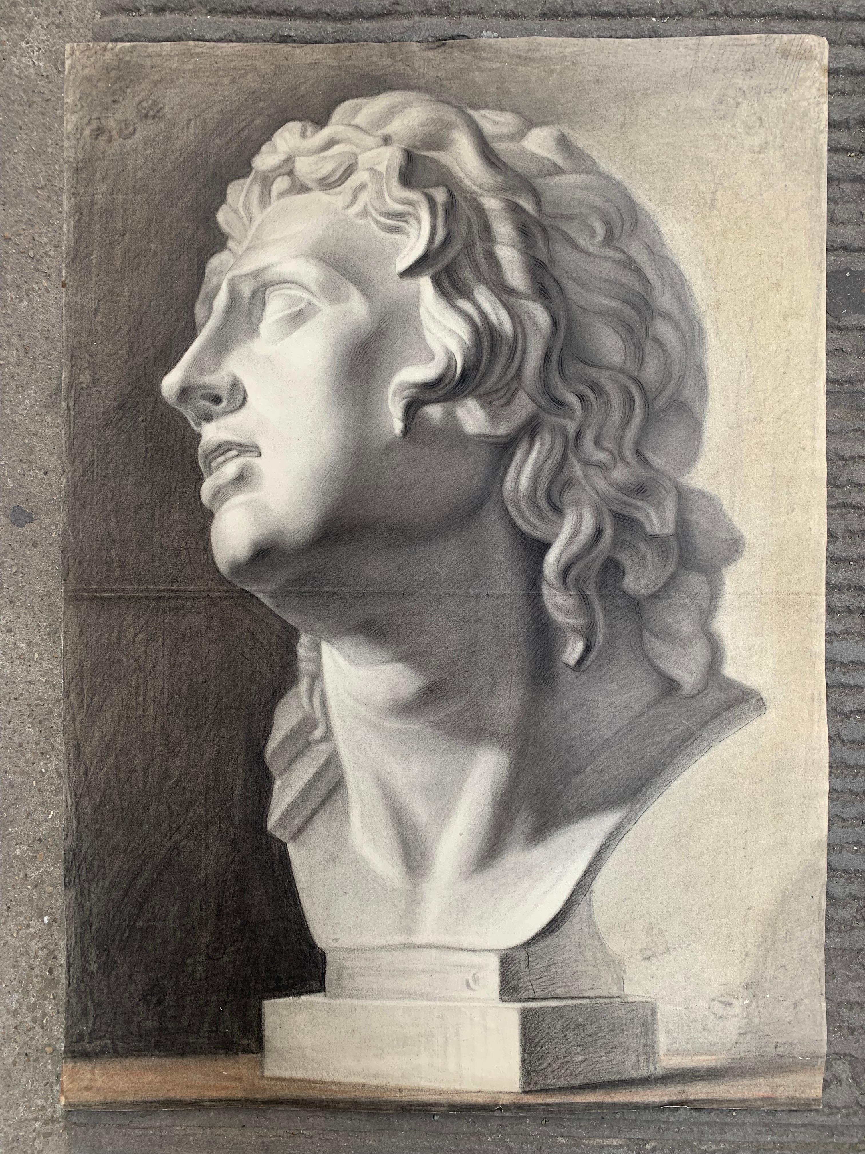 Large XIXth cent. Academic drawing of Alexander The Great’s bust from Uffizi.  For Sale 5
