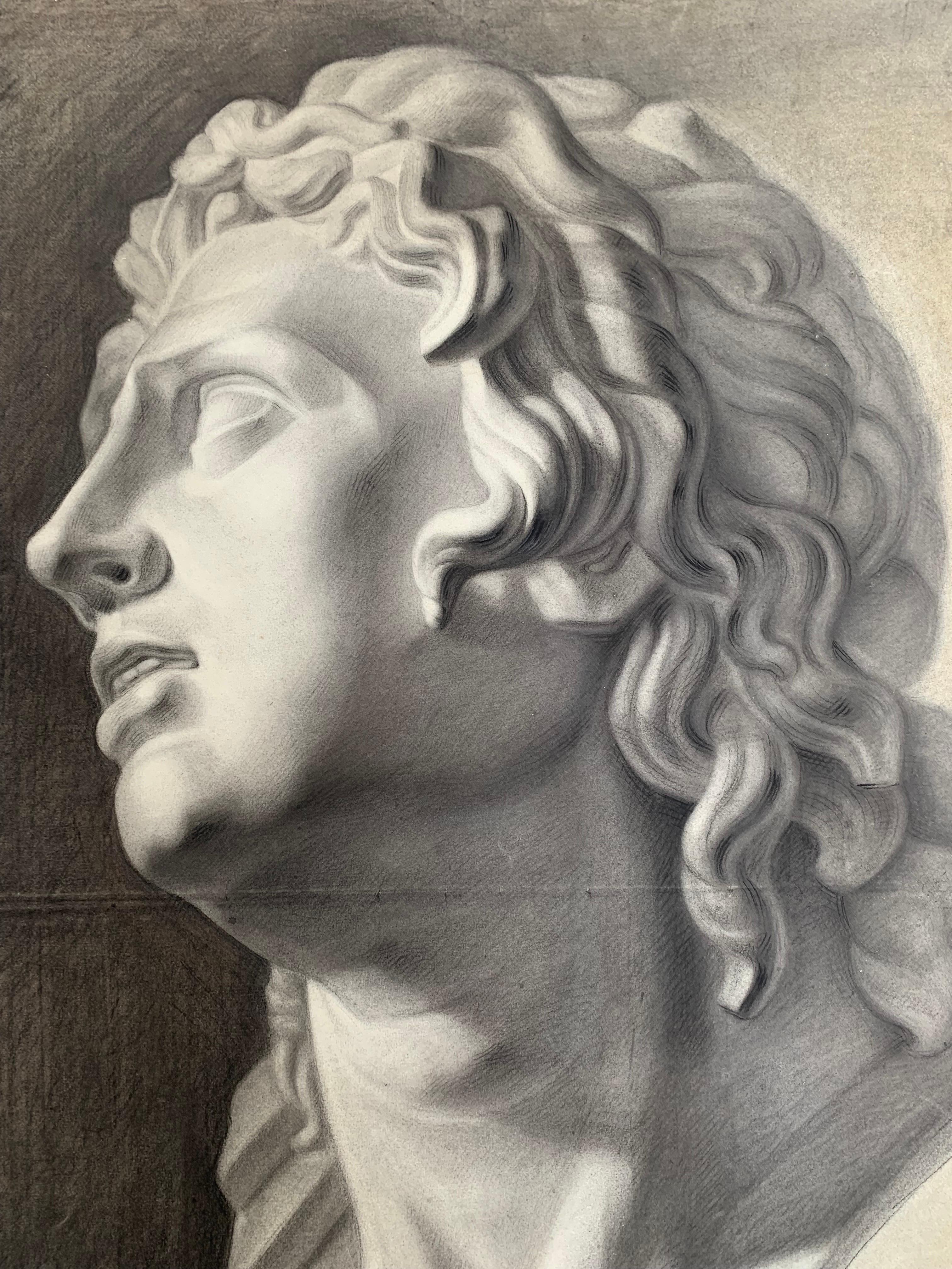 Large XIXth cent. Academic drawing of Alexander The Great’s bust from Uffizi.  For Sale 6