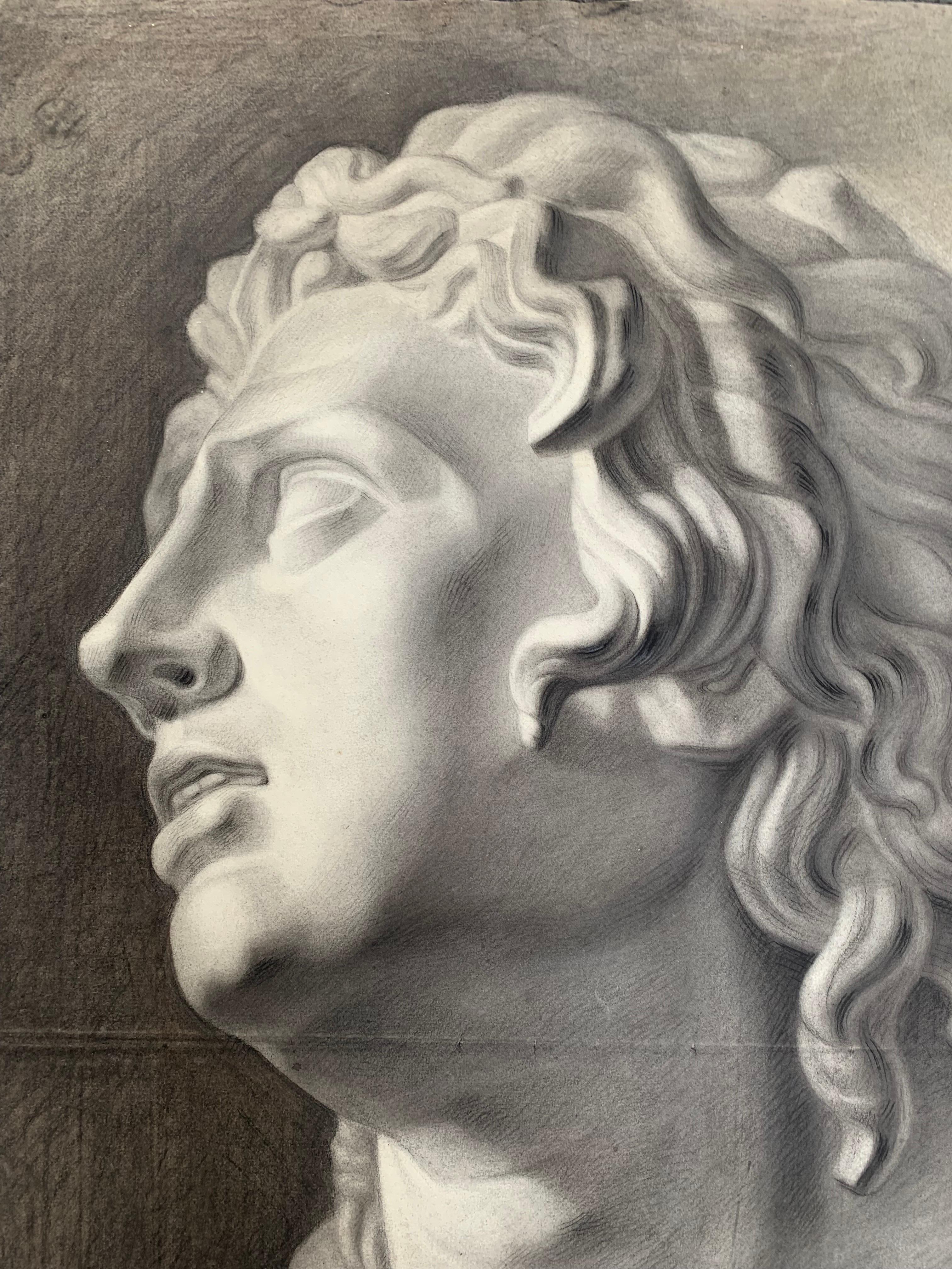 Large XIXth cent. Academic drawing of Alexander The Great’s bust from Uffizi.  For Sale 7
