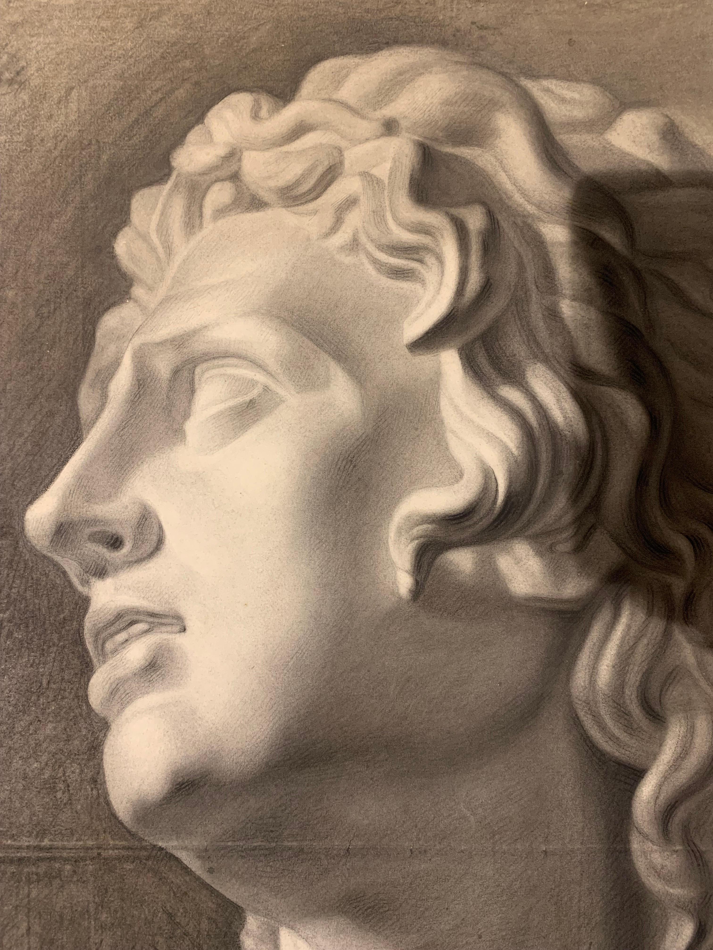 Large XIXth cent. Academic drawing of Alexander The Great’s bust from Uffizi.  For Sale 10